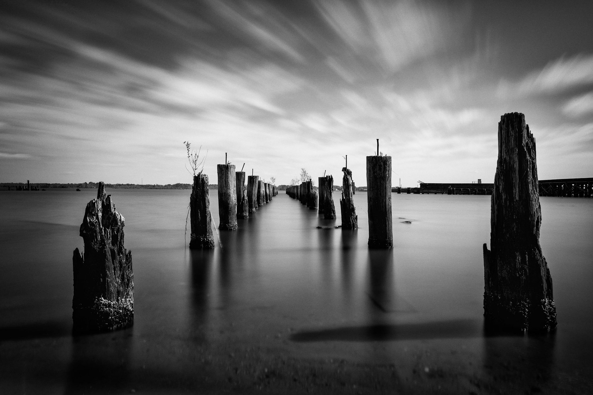 Neuse River Pilings - New Bern, North Carolina