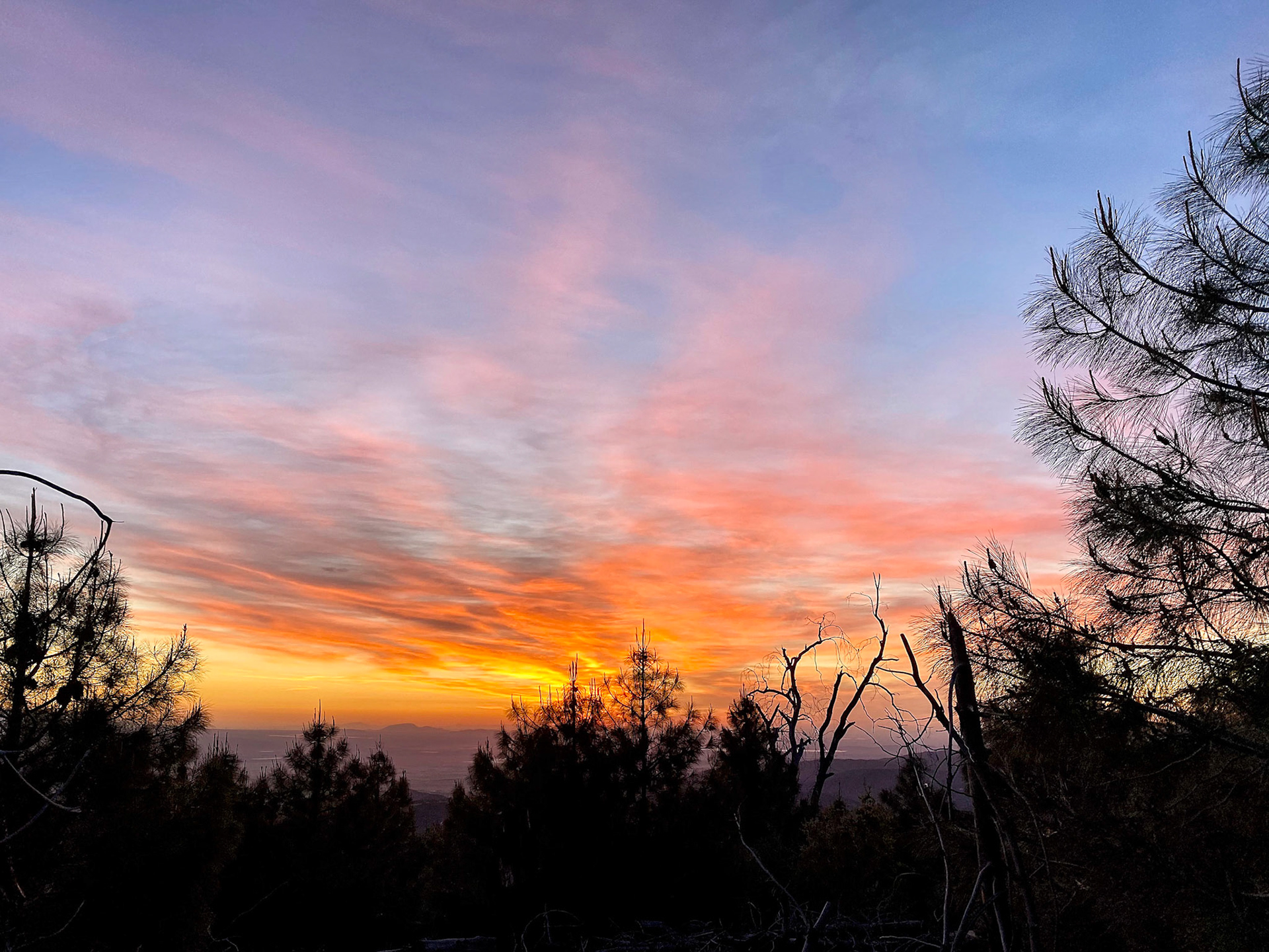 PCT: Sunset, Angeles National Forest, Lake Hughes, CA