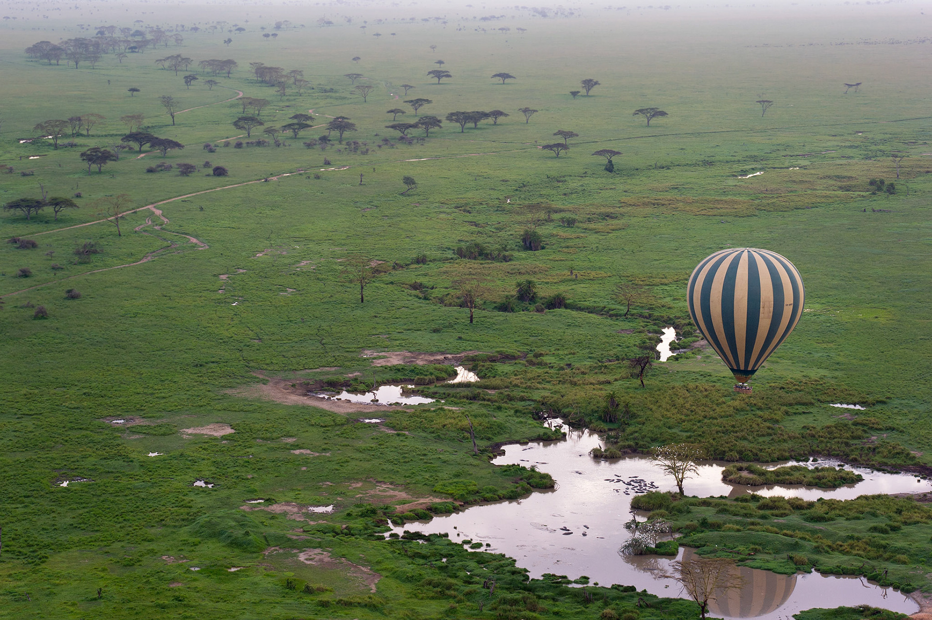 Balloon Over Hippo Pond - Serengeti National Park, Tanzania