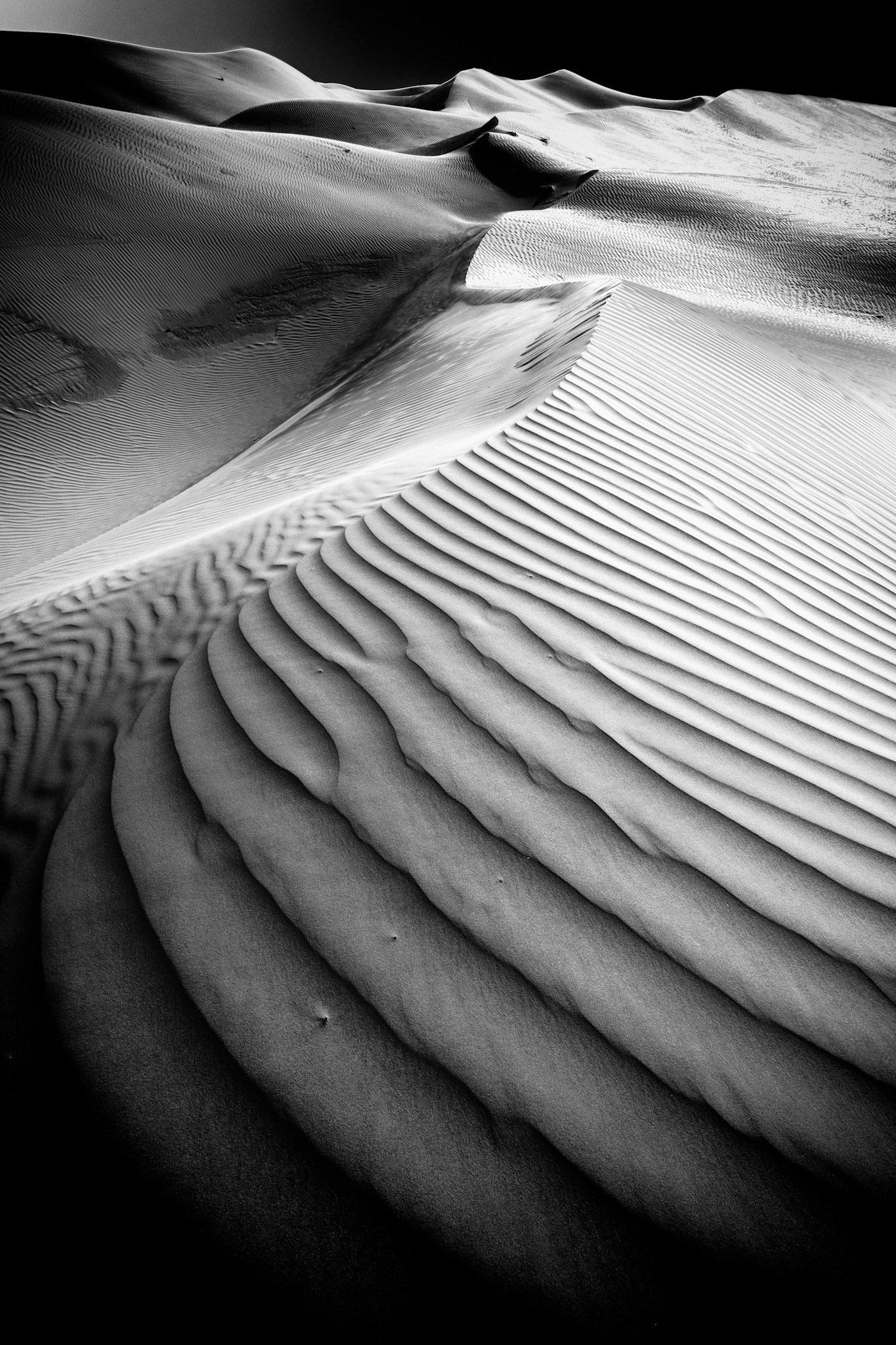 Solarization - Al Faqa, Dubai, UAE