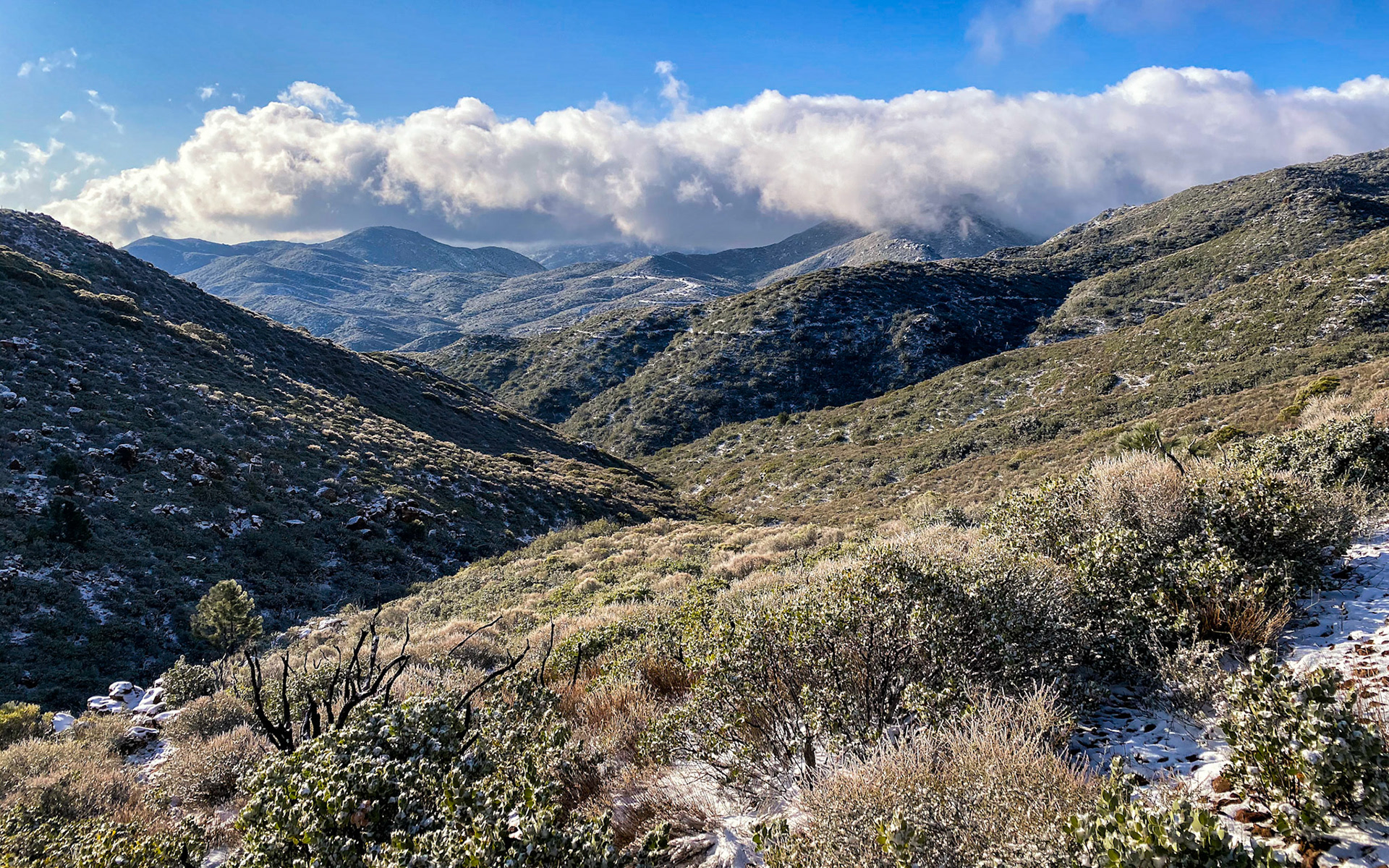 PCT: San Felipe Wilderness, Warner Springs, CA