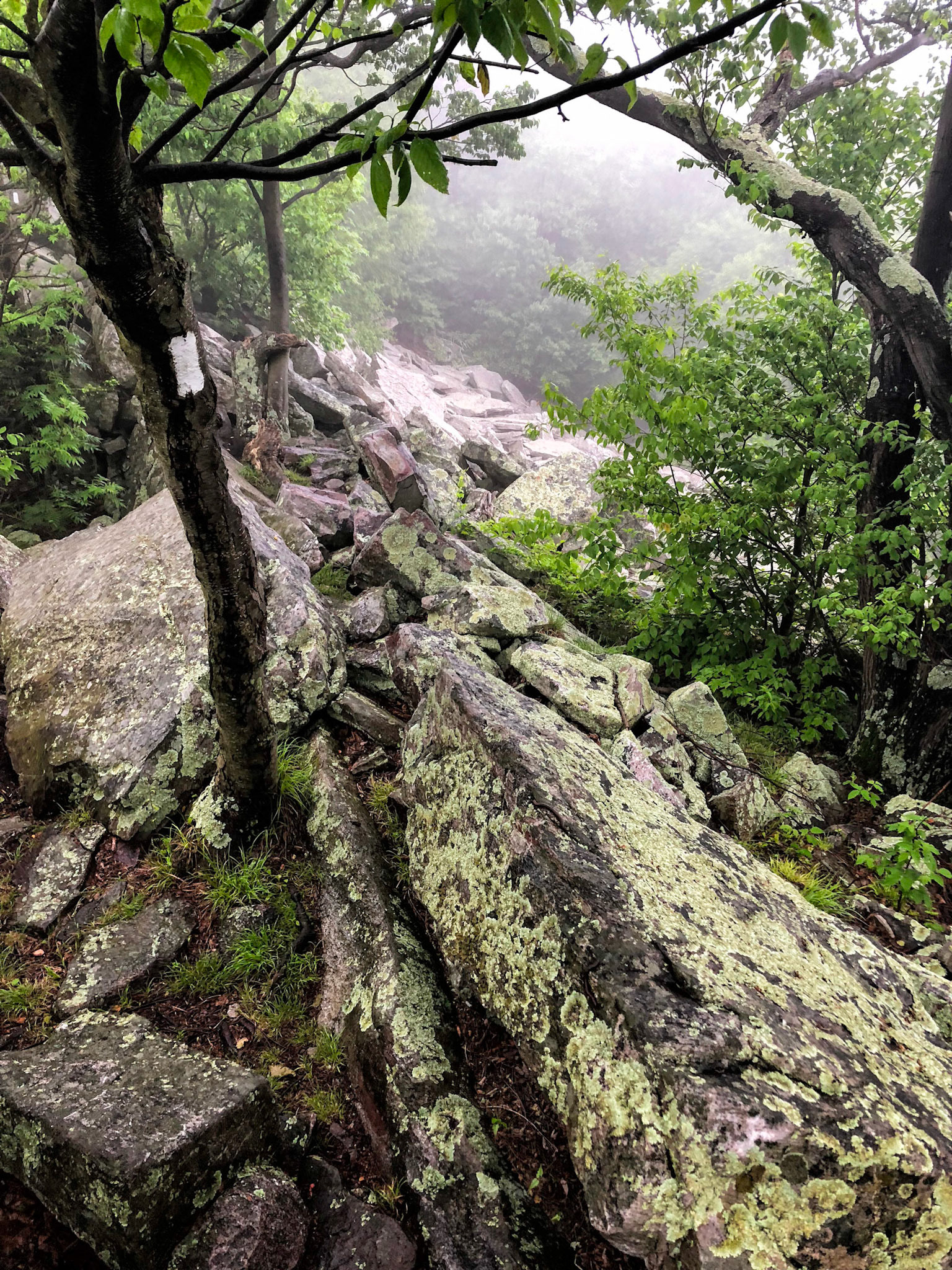 Pennsylvania Rocks - Andreas, PA