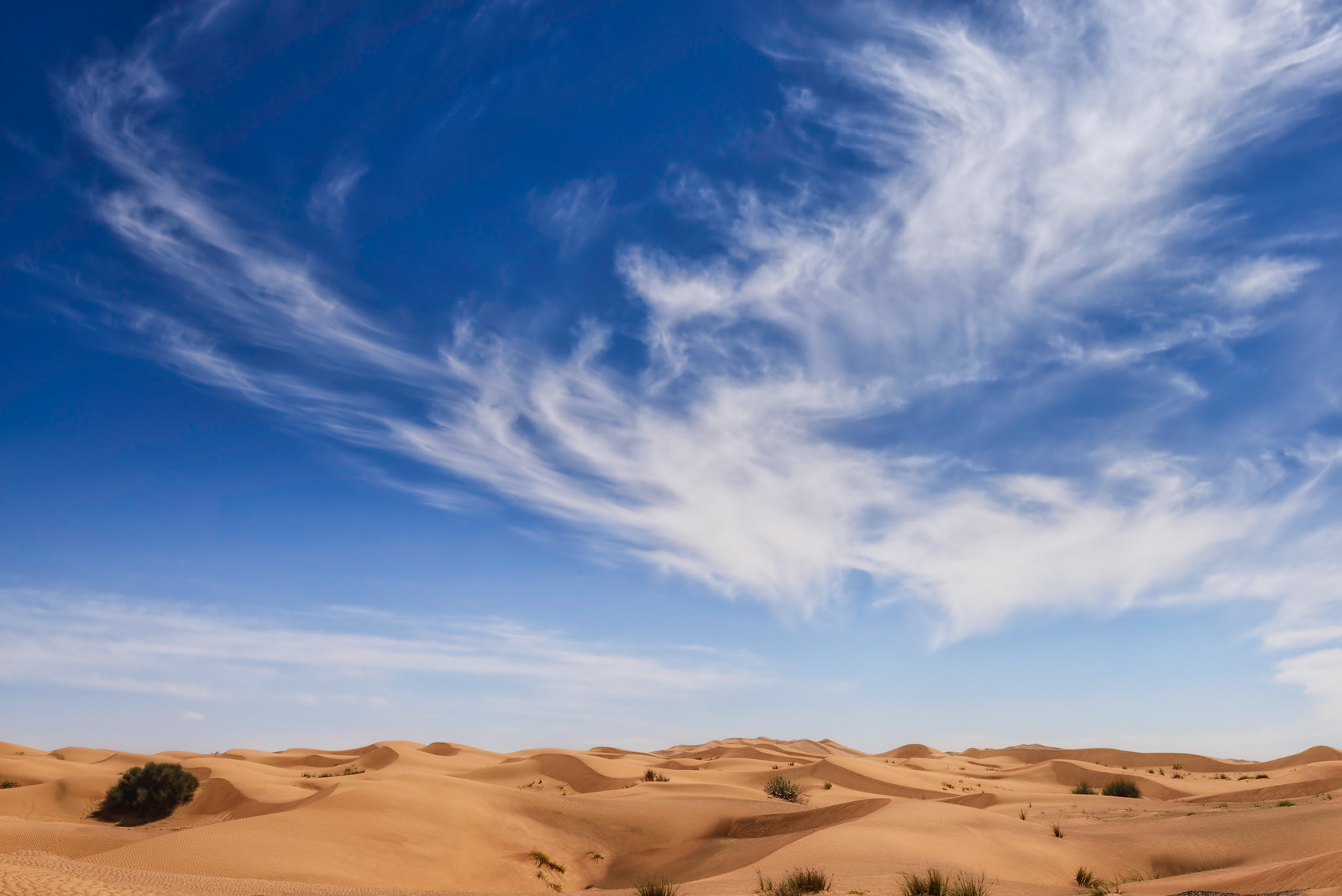 Bidayer - Dubai, UAE