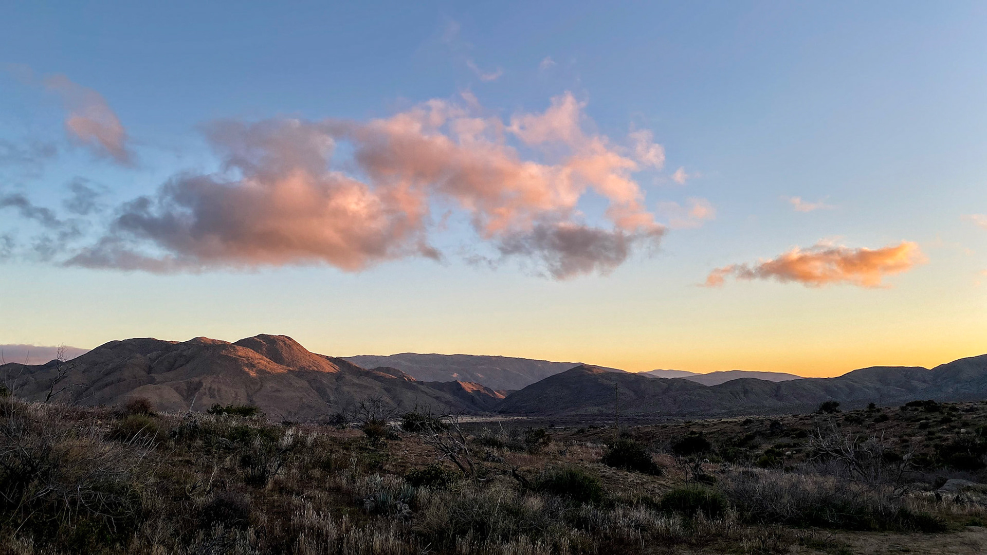 PCT: Anza-Borrego Desert State Park, Julian, CA