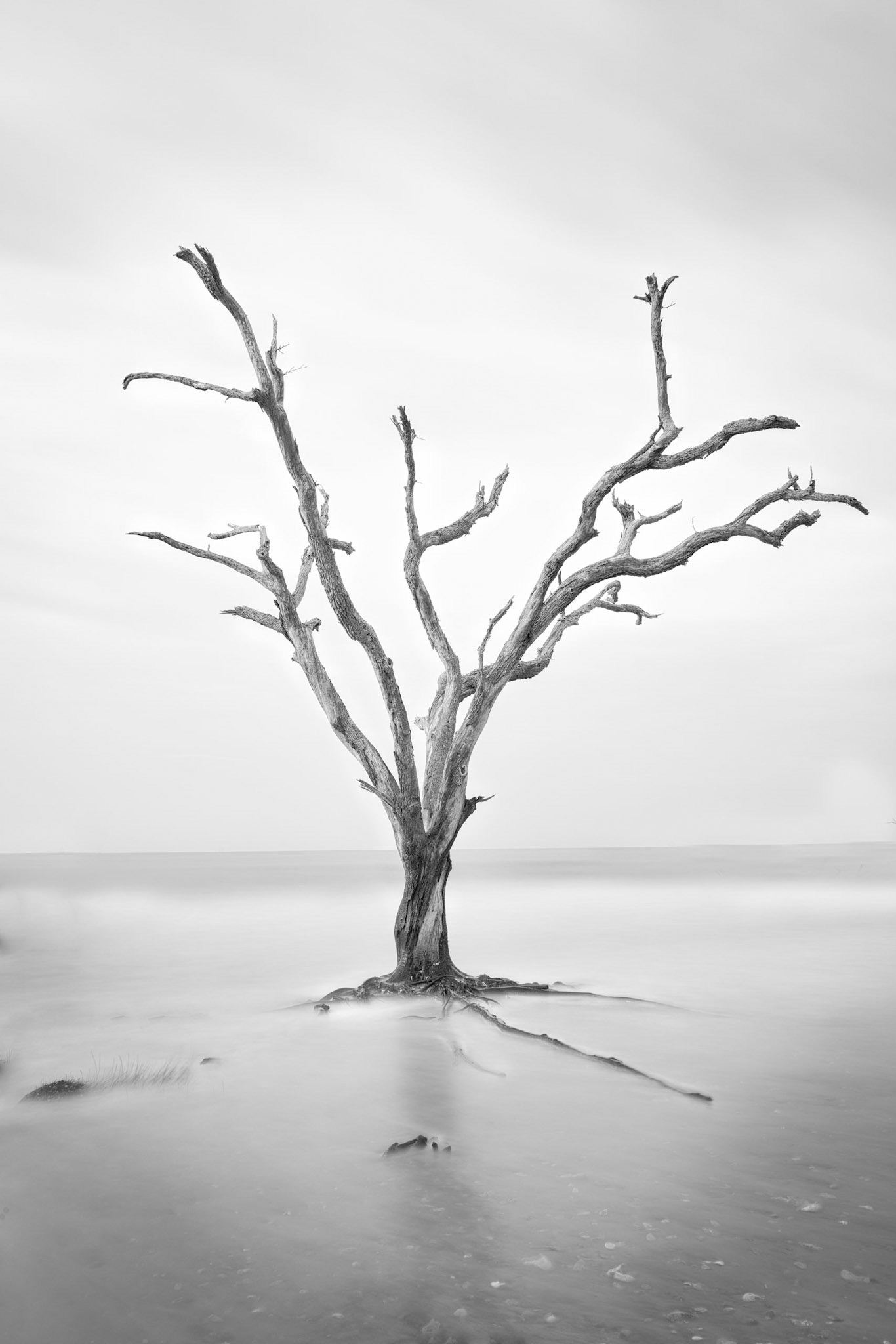 Botany Bay, South Carolina