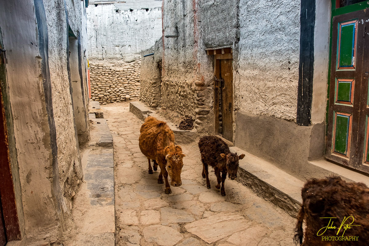 Lo Mantang, Mustang District, Nepal