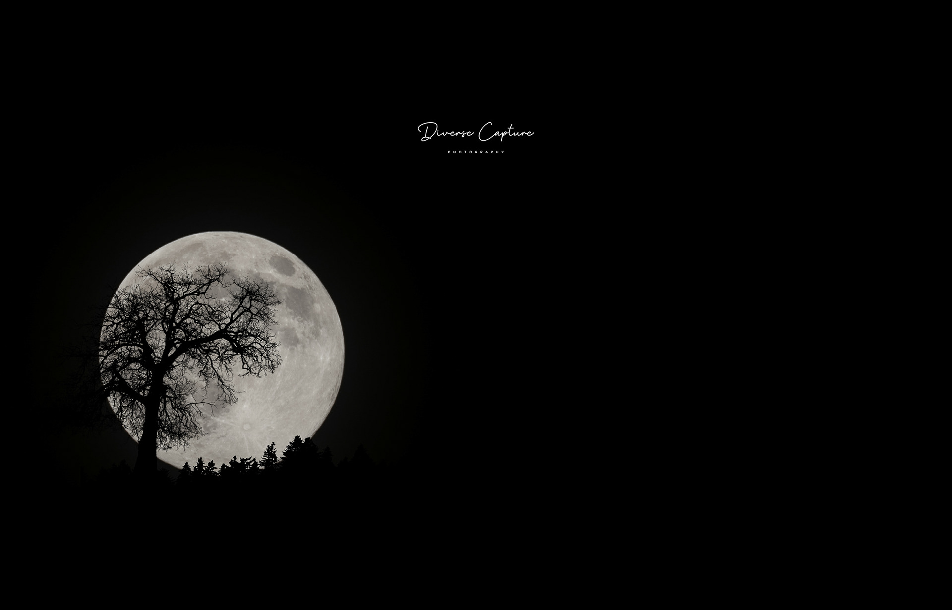 Photographer in Sudbury, Suffolk.