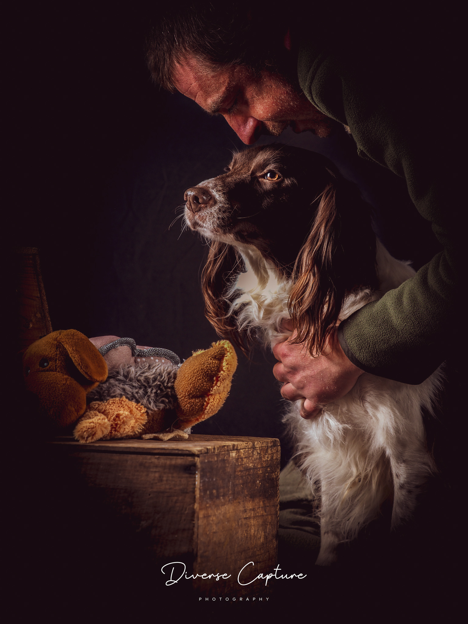 Dog Portrait photographer Sudbury, Suffolk