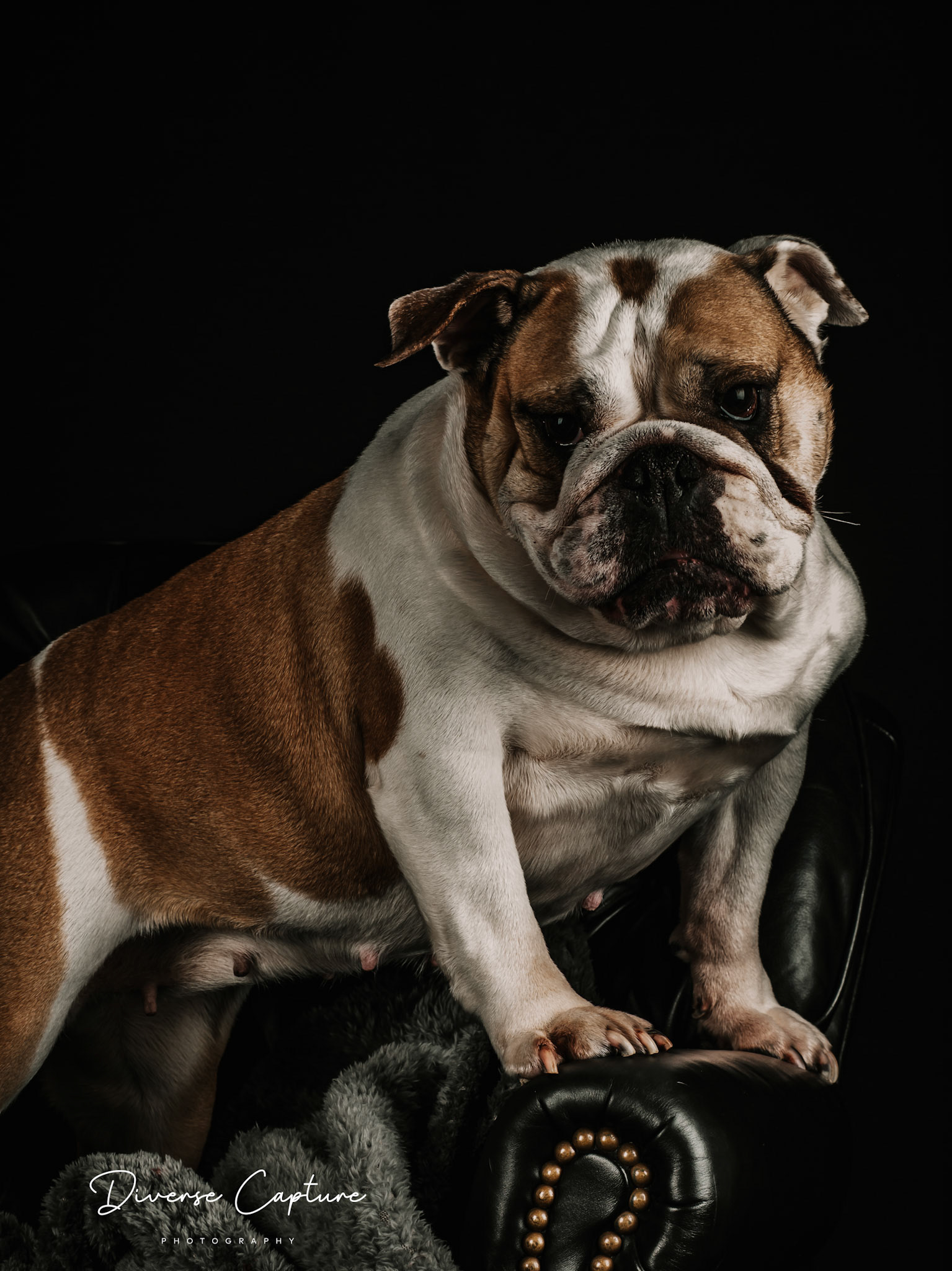 Portrait photographer Sudbury, Suffolk