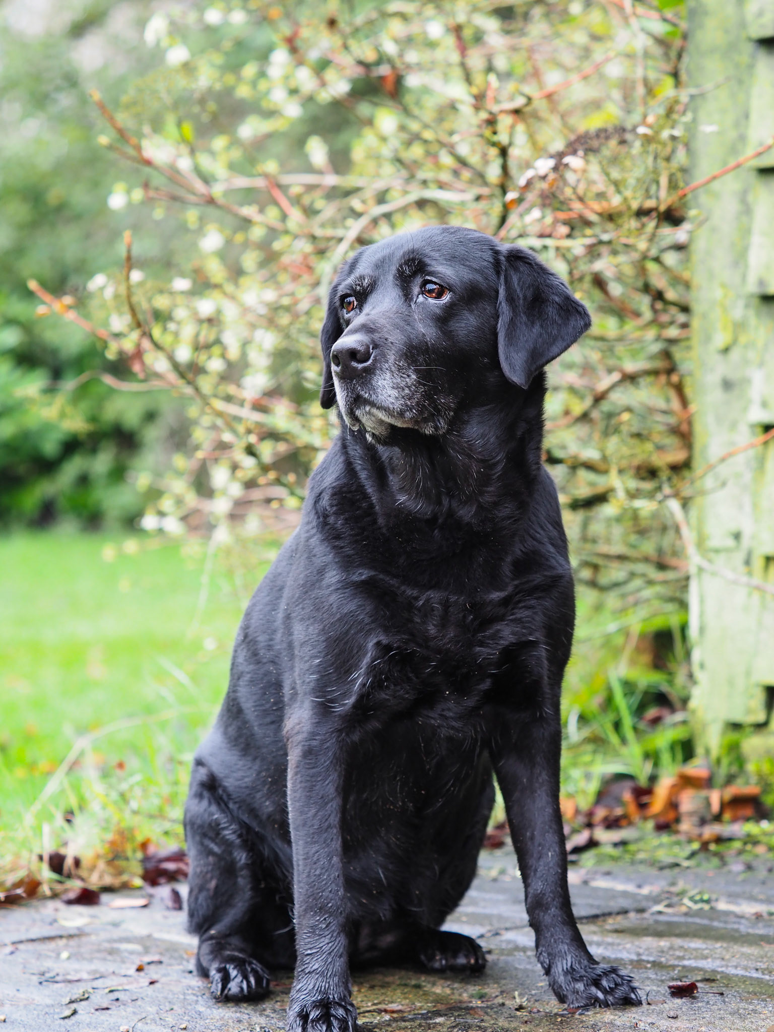 Portrait photographer Sudbury, Suffolk