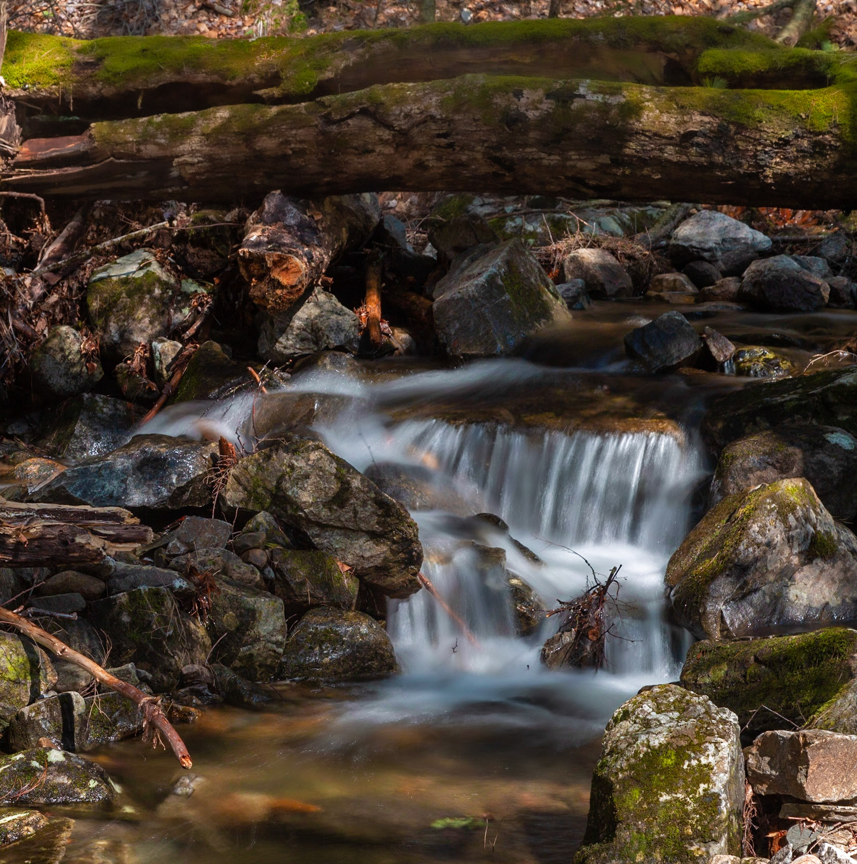Brook Along the Clay Meadow Trail