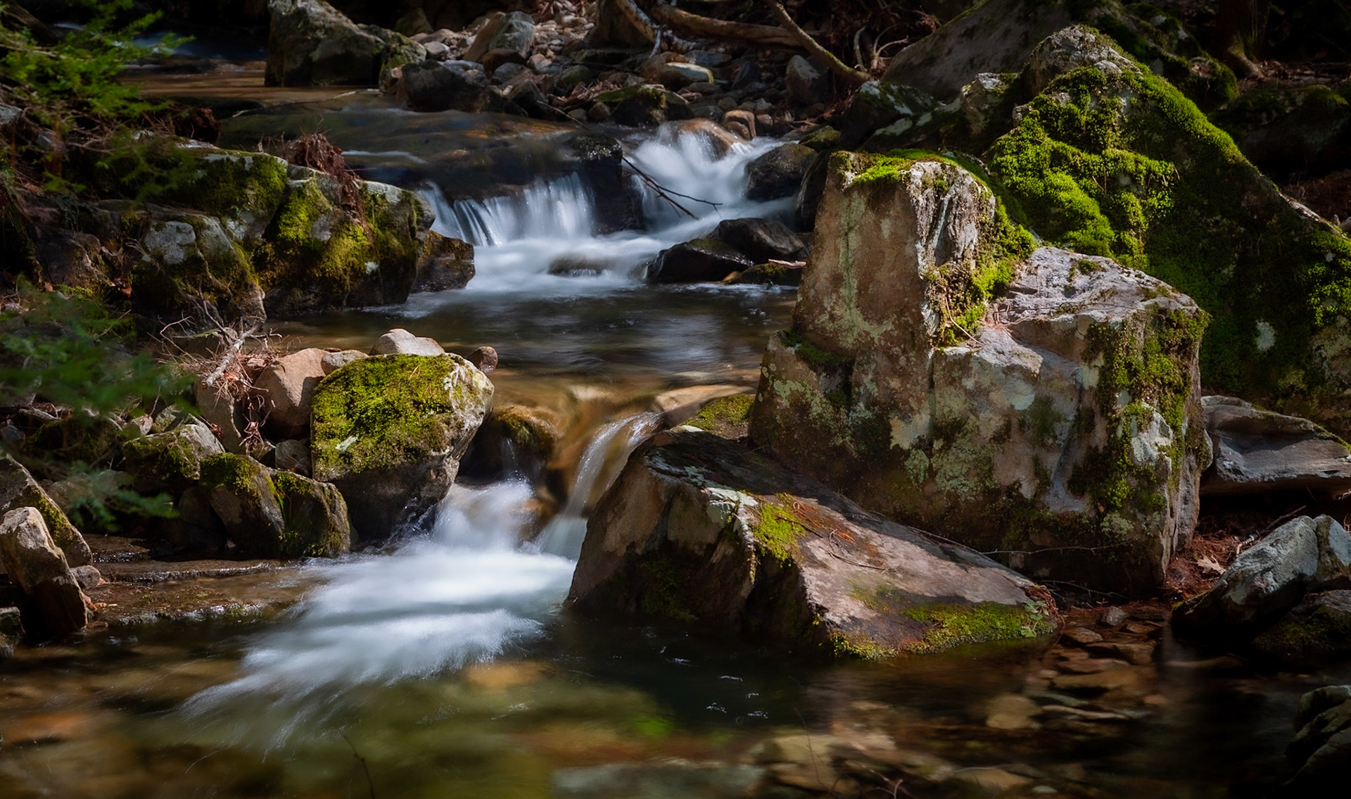 Brook Along the Clay Meadow Trail