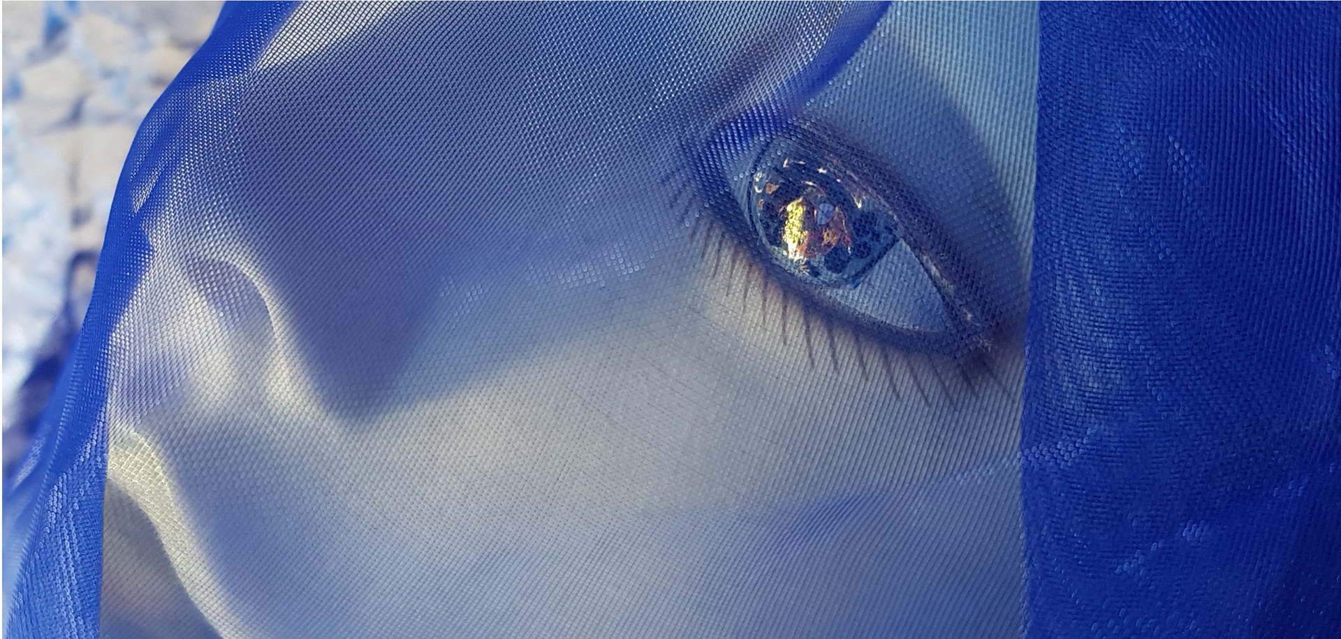 Grace Gore - 'The eye holds the power'