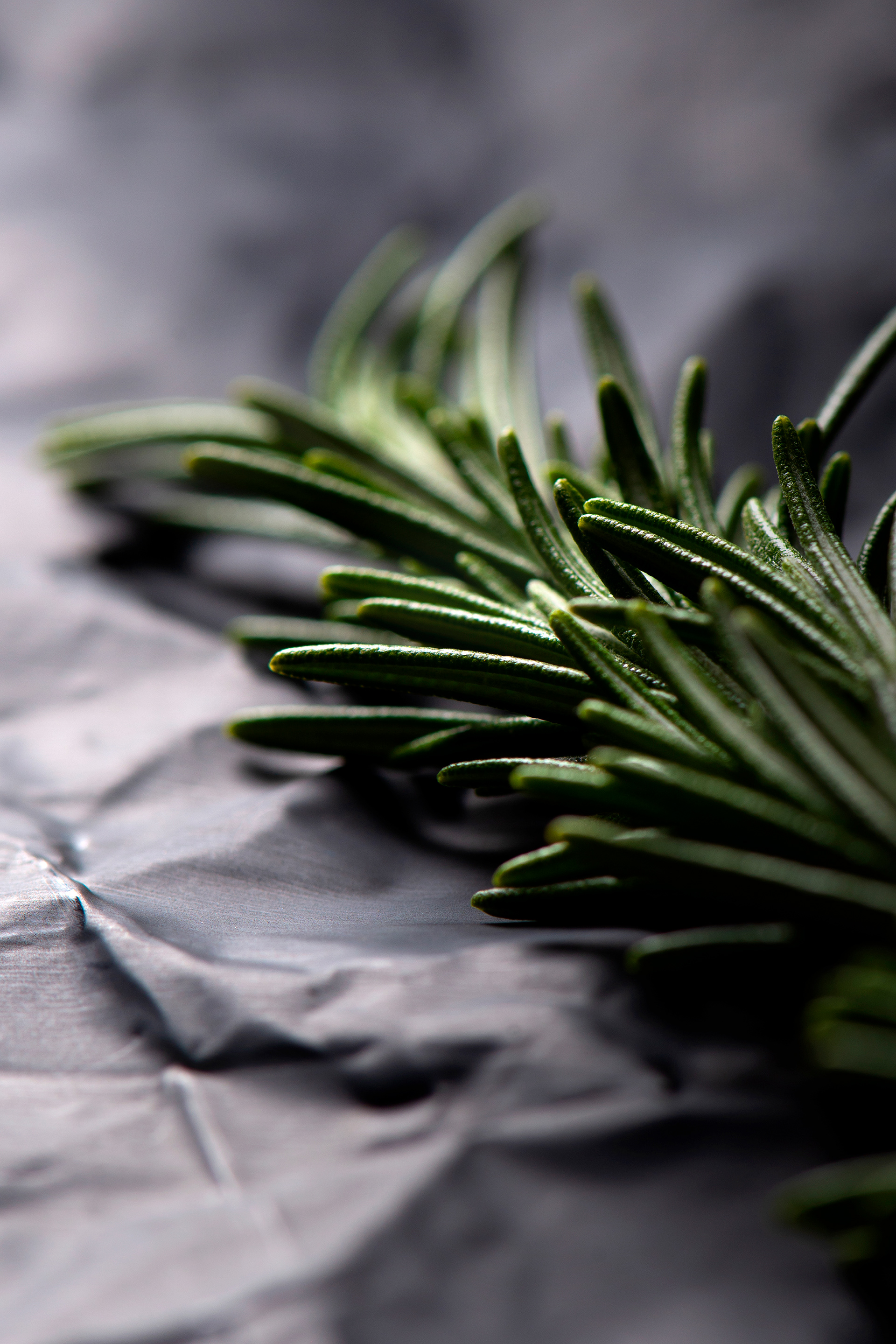 Melissa Browning - Rosemary Sprig