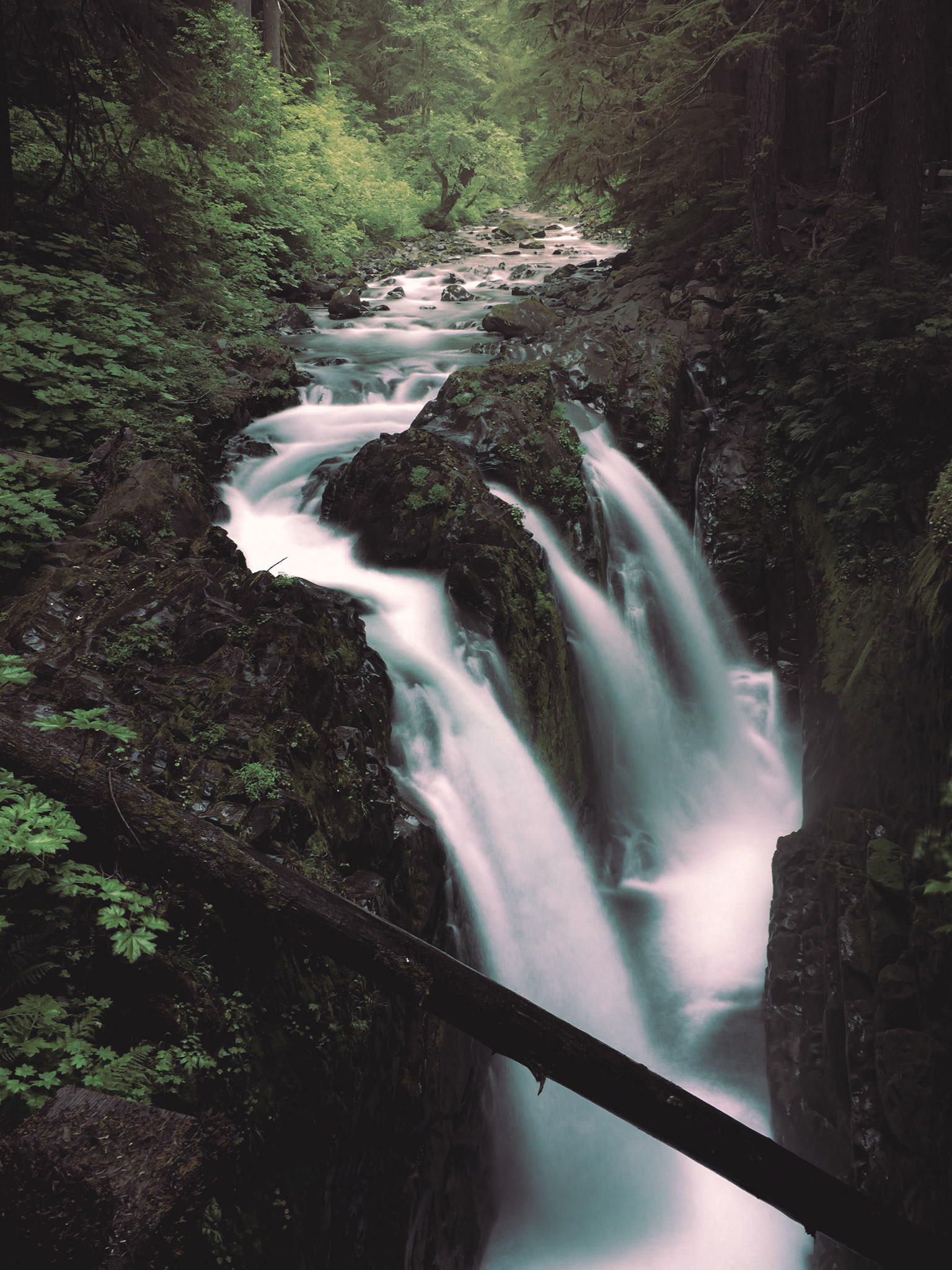 Olympic National Park
