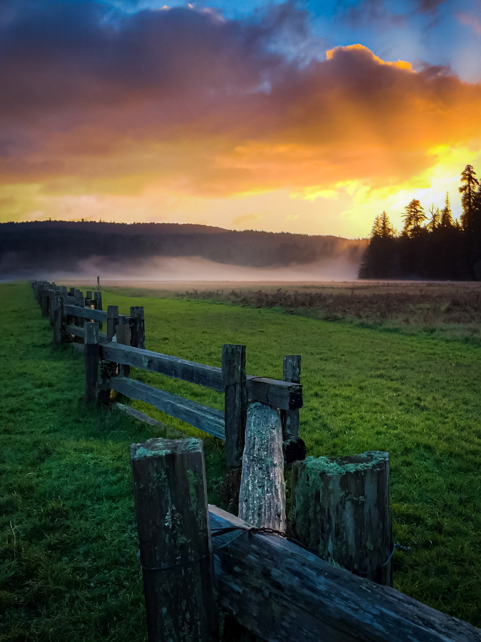 Redwoods National Park at Sunset