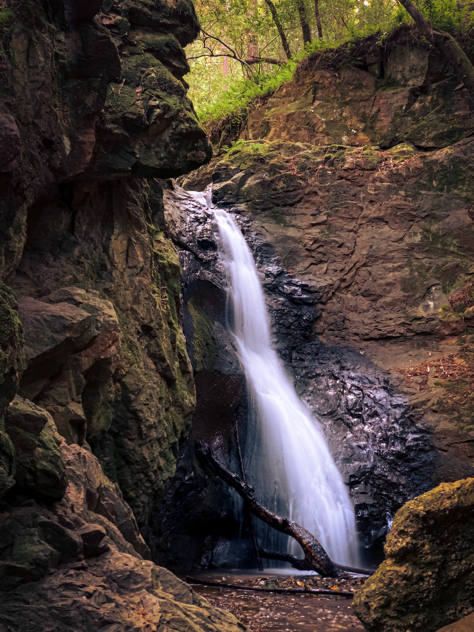 Cascade Falls, Mill Valley, California