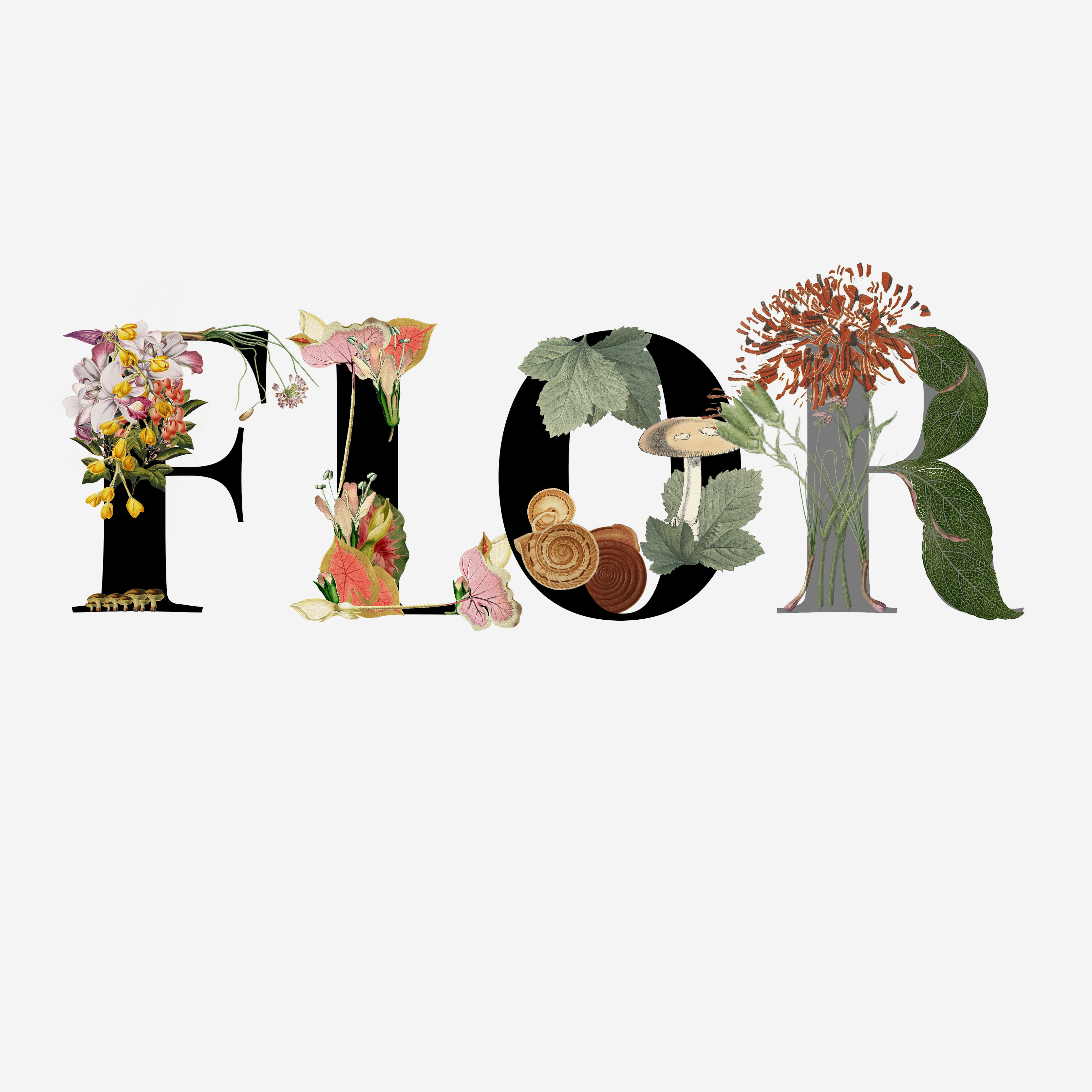 Sixto-Juan Zavala - Floral Alchemy Typography Workshop