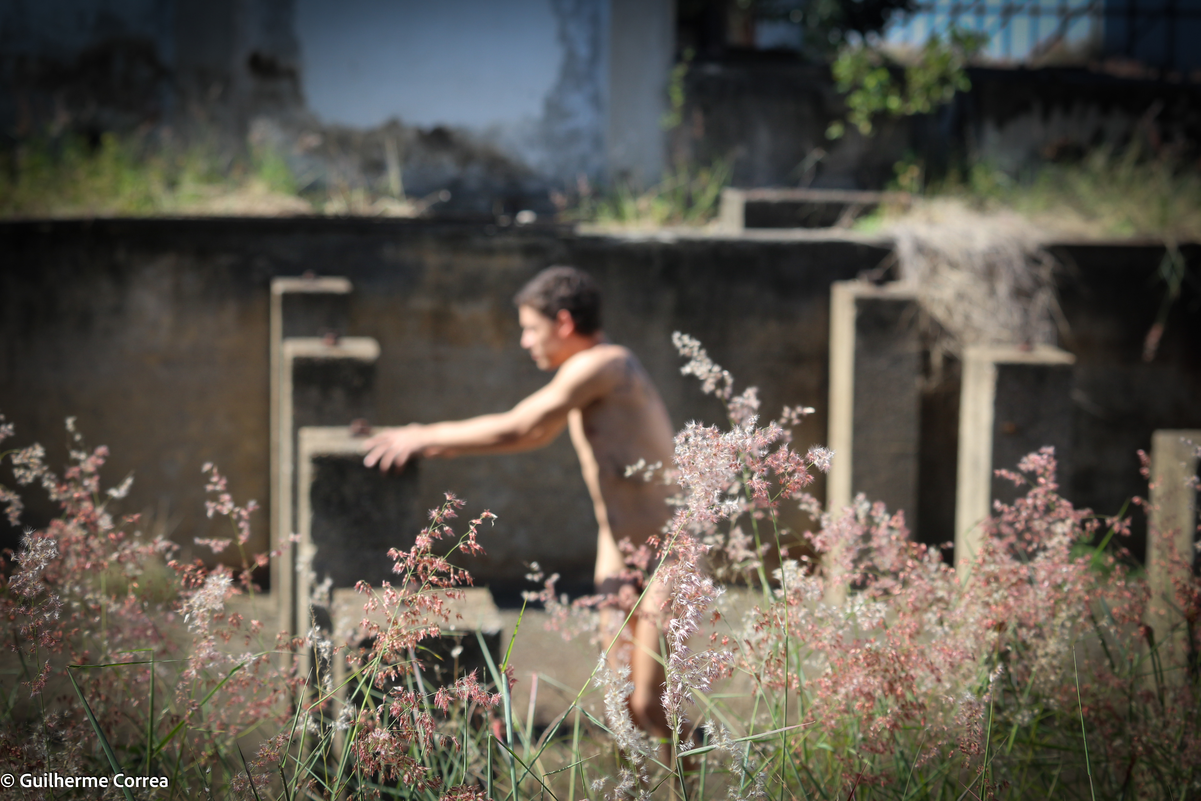 NUTOPIA