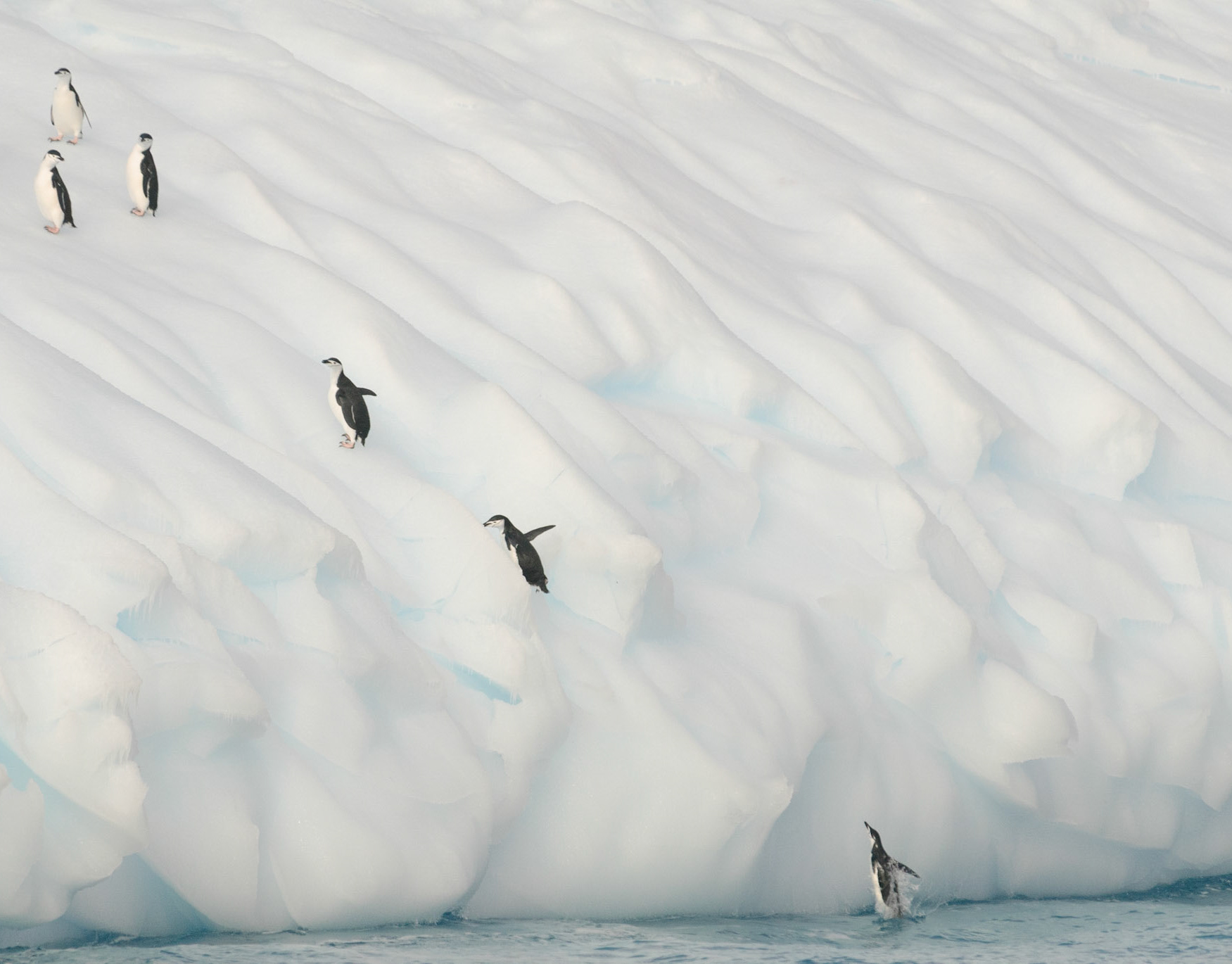 Ice floe, drift ice, Greenland, Arctic, Polar Regions Stock Photo - Alamy