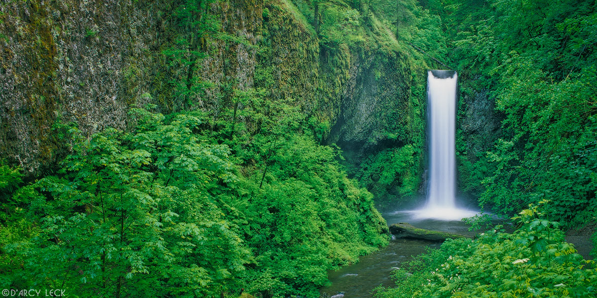 Waterfall on Multnomah Creek along the Columbia River Gorge Oregon