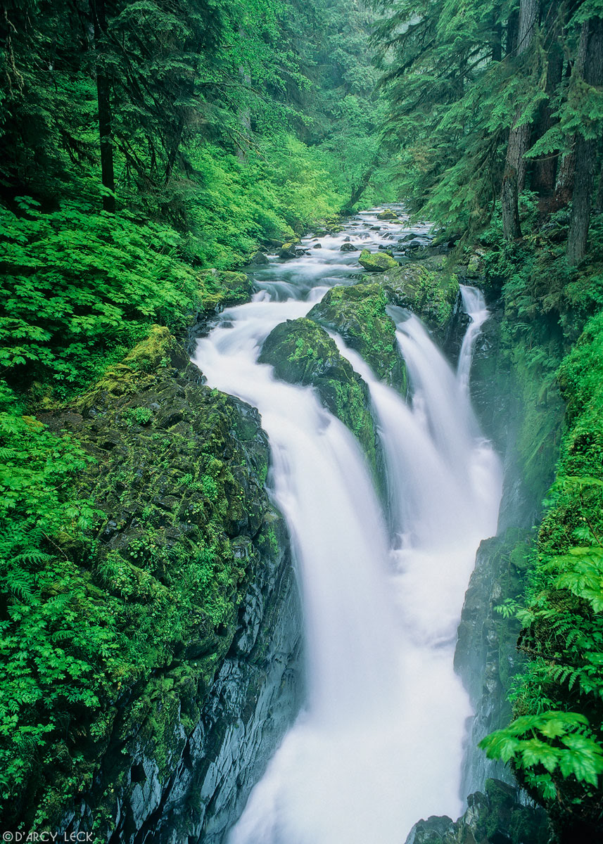 Soleduck Falls along the Soleduck River, Washington