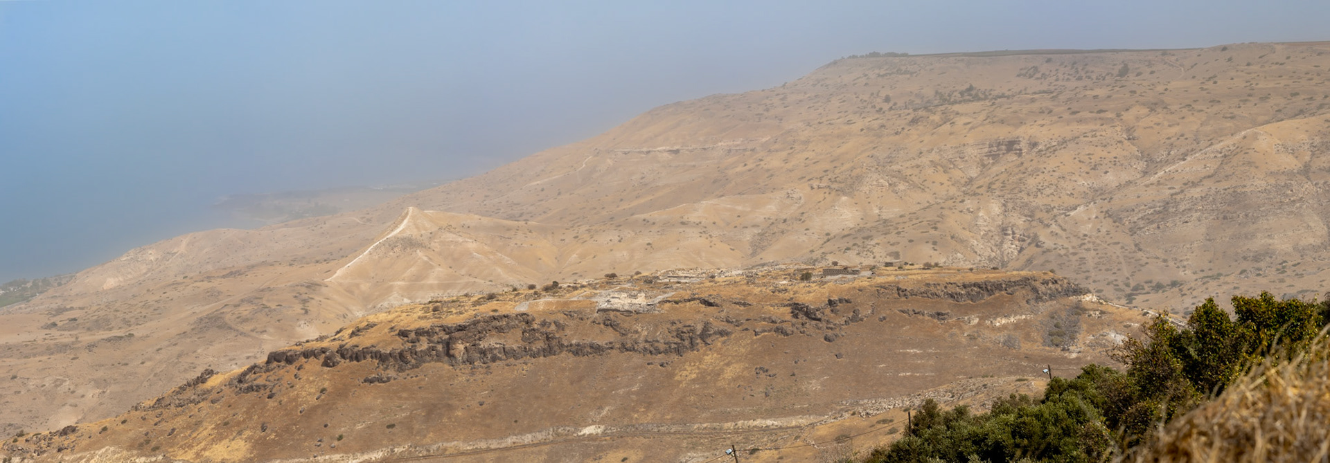 Blick auf Hippos in den Golanhöhen