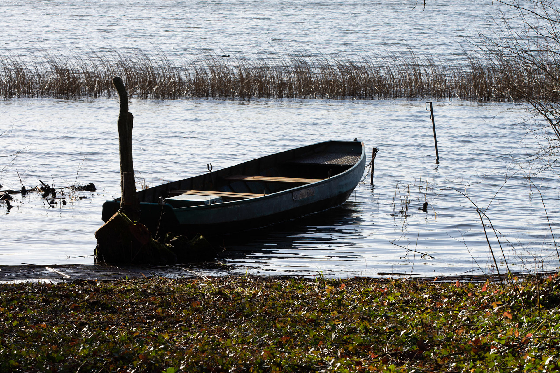 Boot am Étang des Noues in Cholet