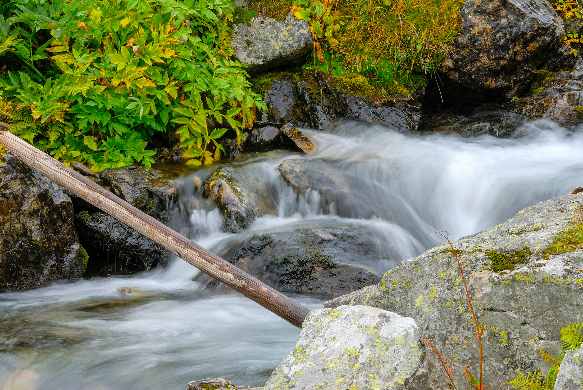 Vattendraget nedanför  Silverfallet i Grövelsjöfjällen