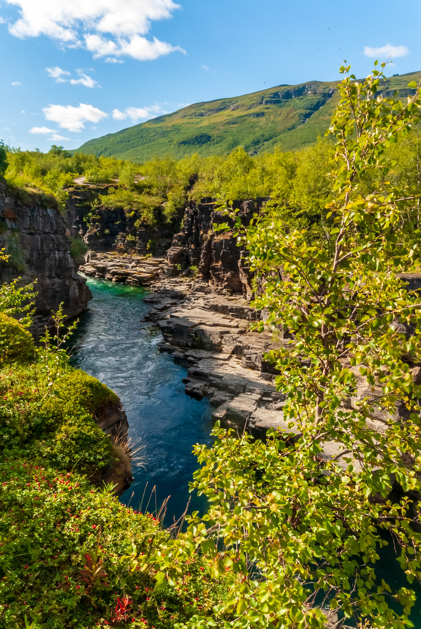 Abisko Kanjon, Abiskojokken
