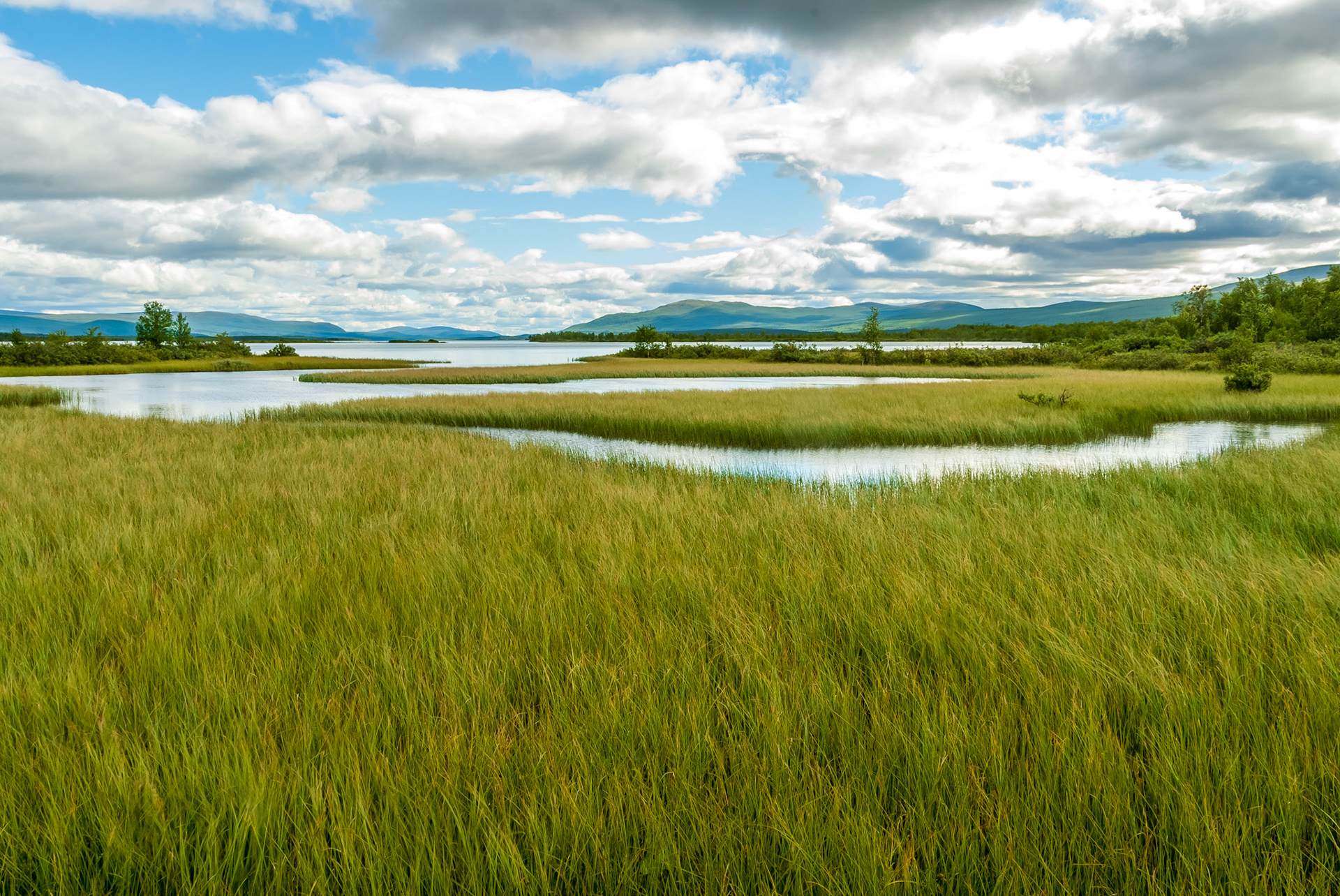 Dag Hammarsköldleden, Kungsleden
