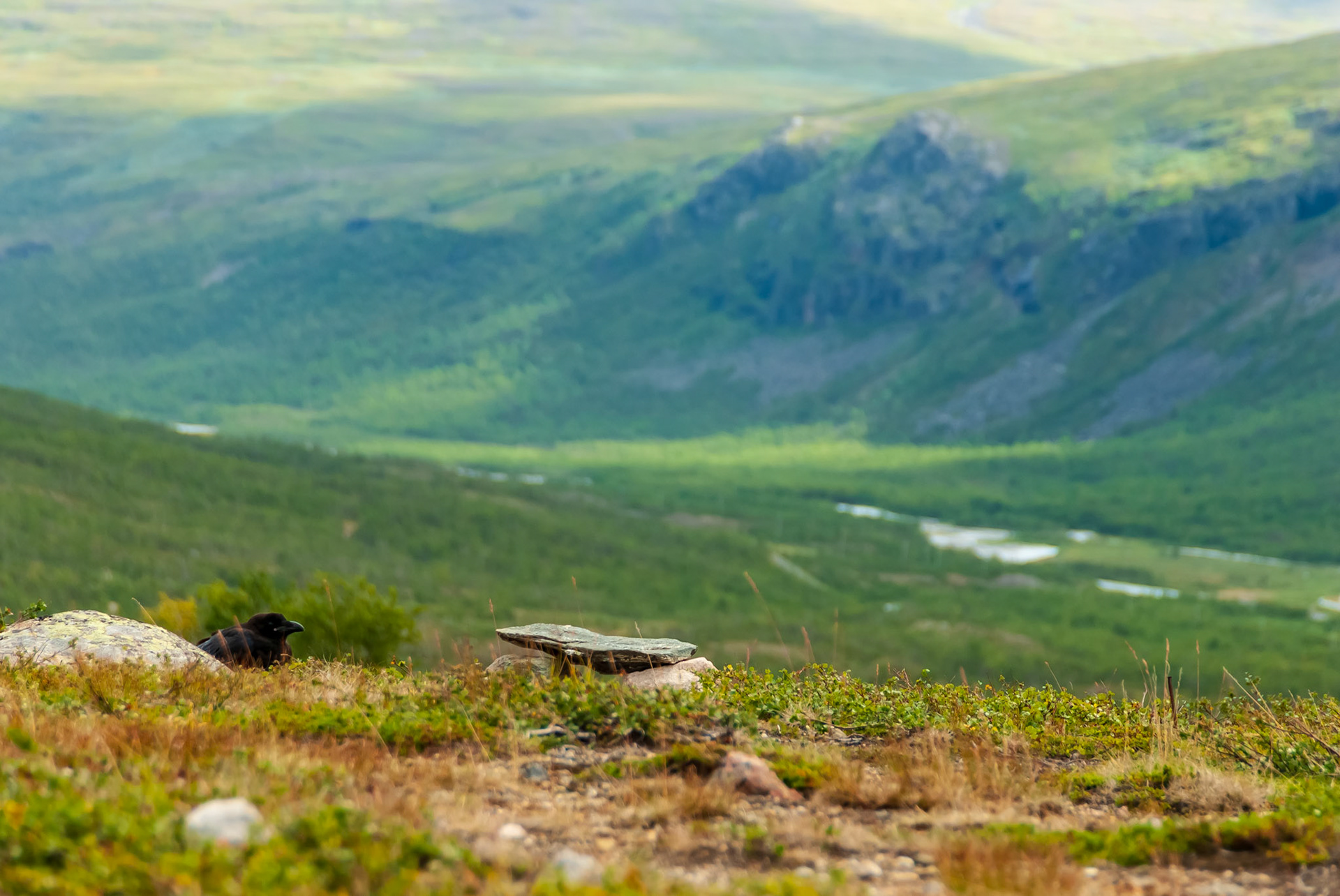 Korp, Dag Hammarsköldleden, Kungsleden