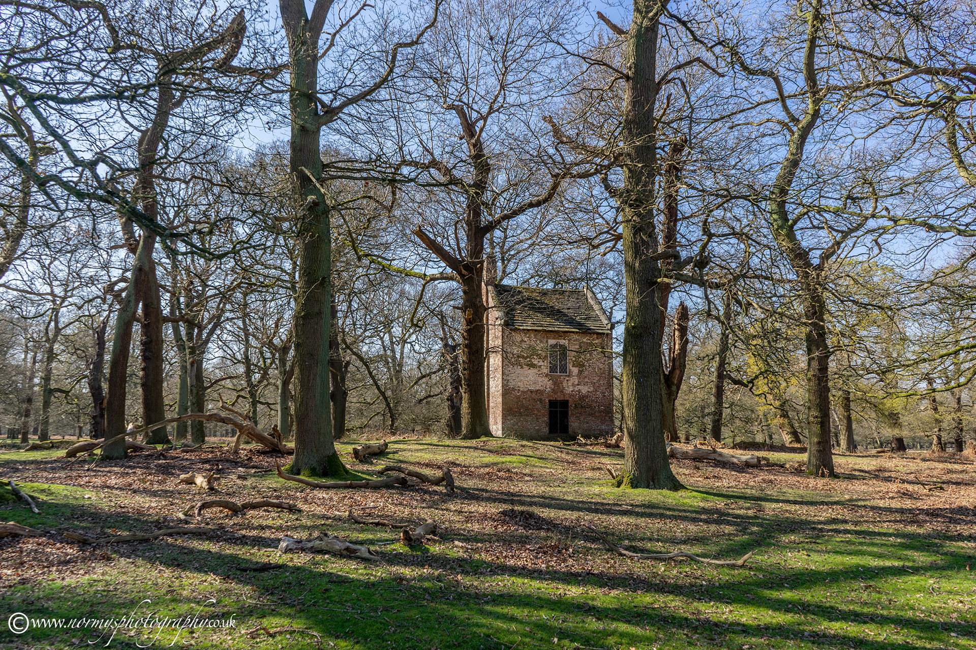 The old slaughter house