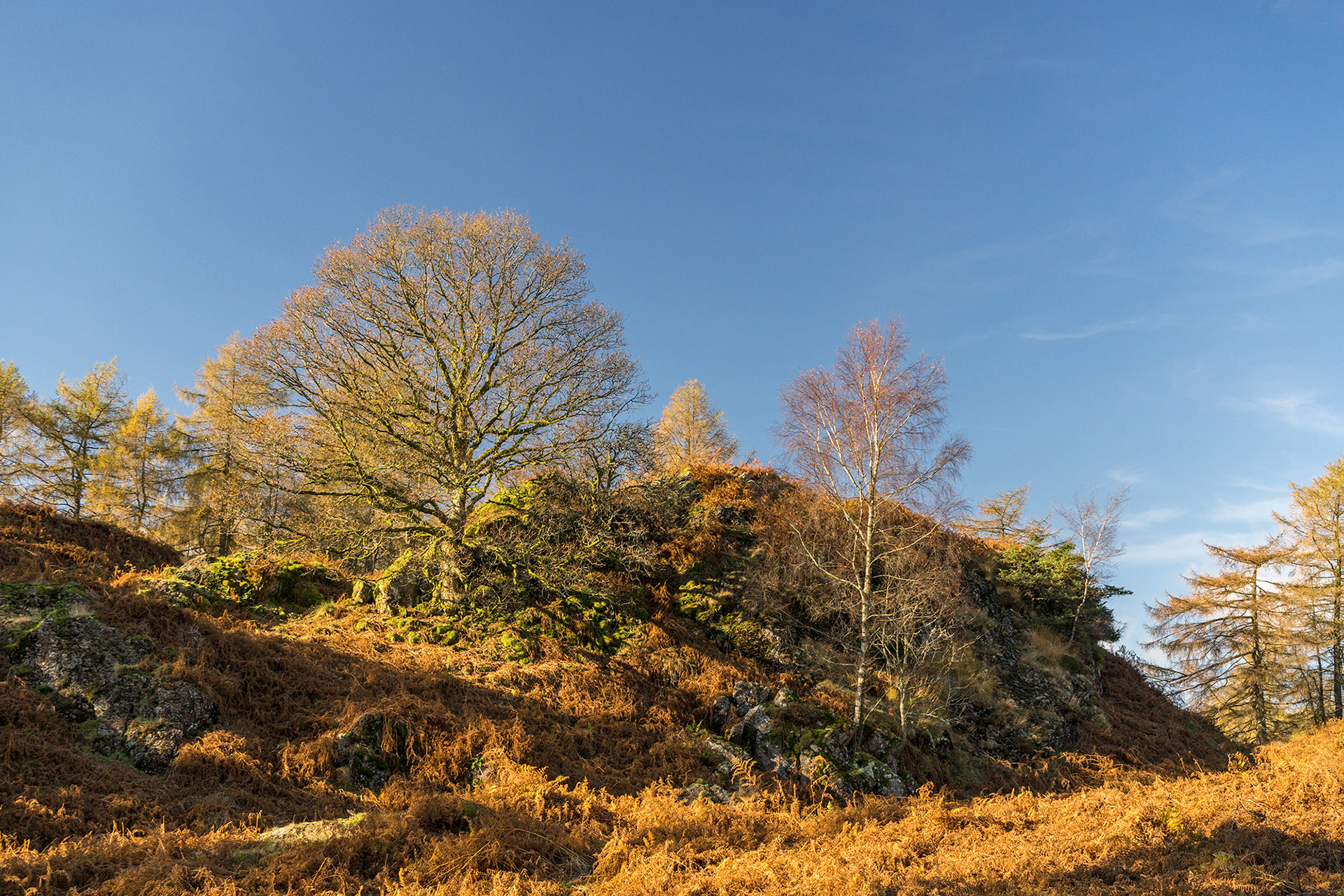 Tarn Hows