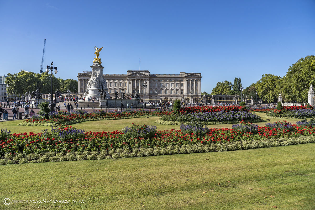 Buckingham Palace & Garden