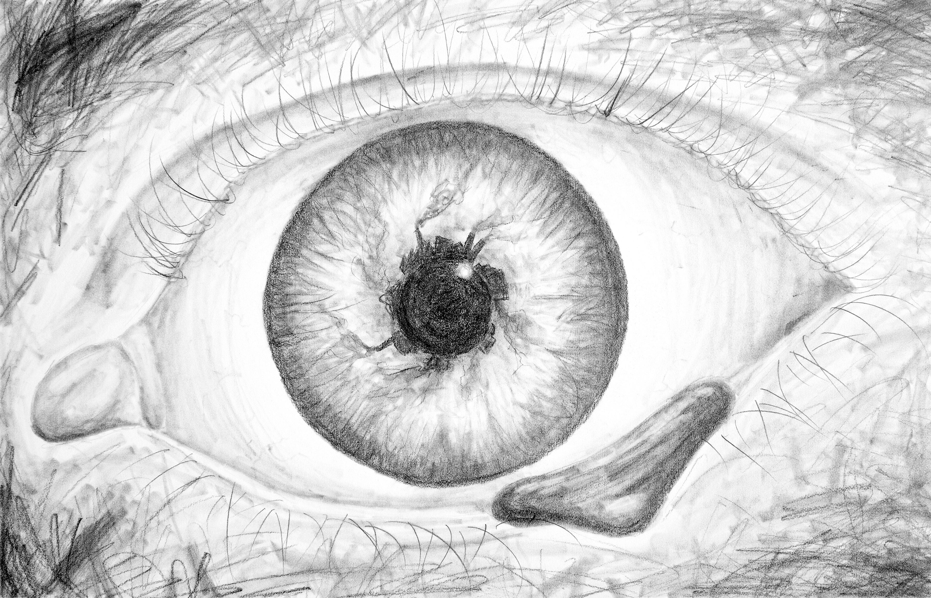 Mother Nature's Tears, Graphite