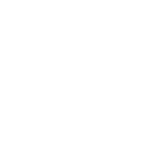 Synapsa Studio 
