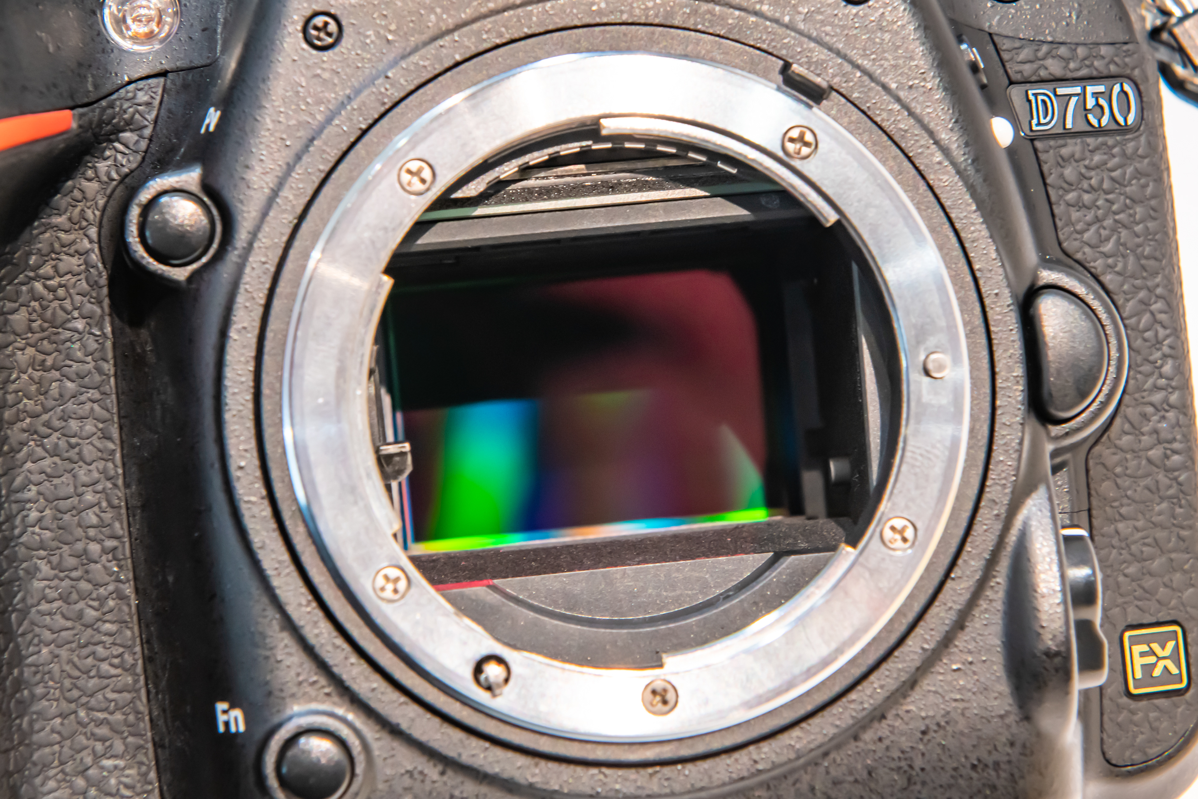 Disney Bella Foto ディズニーベッラフォト ディズニー Dヲタが絶対に知っておくべき一眼レフカメラの扱い方 第2章 ショー待ちリスク編