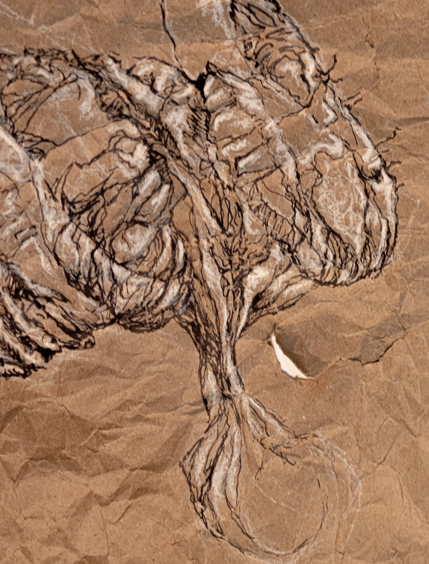 Holding It All Together. Detail 2.