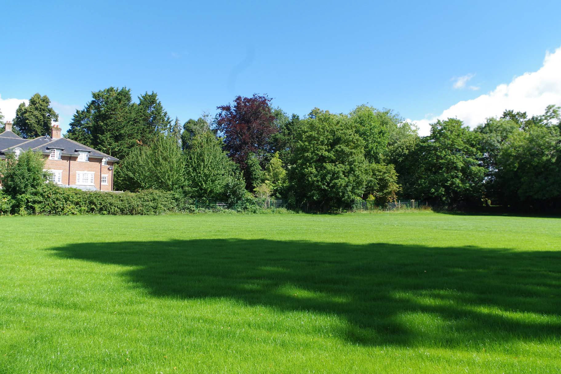 NATURAL PITCH GRASSED