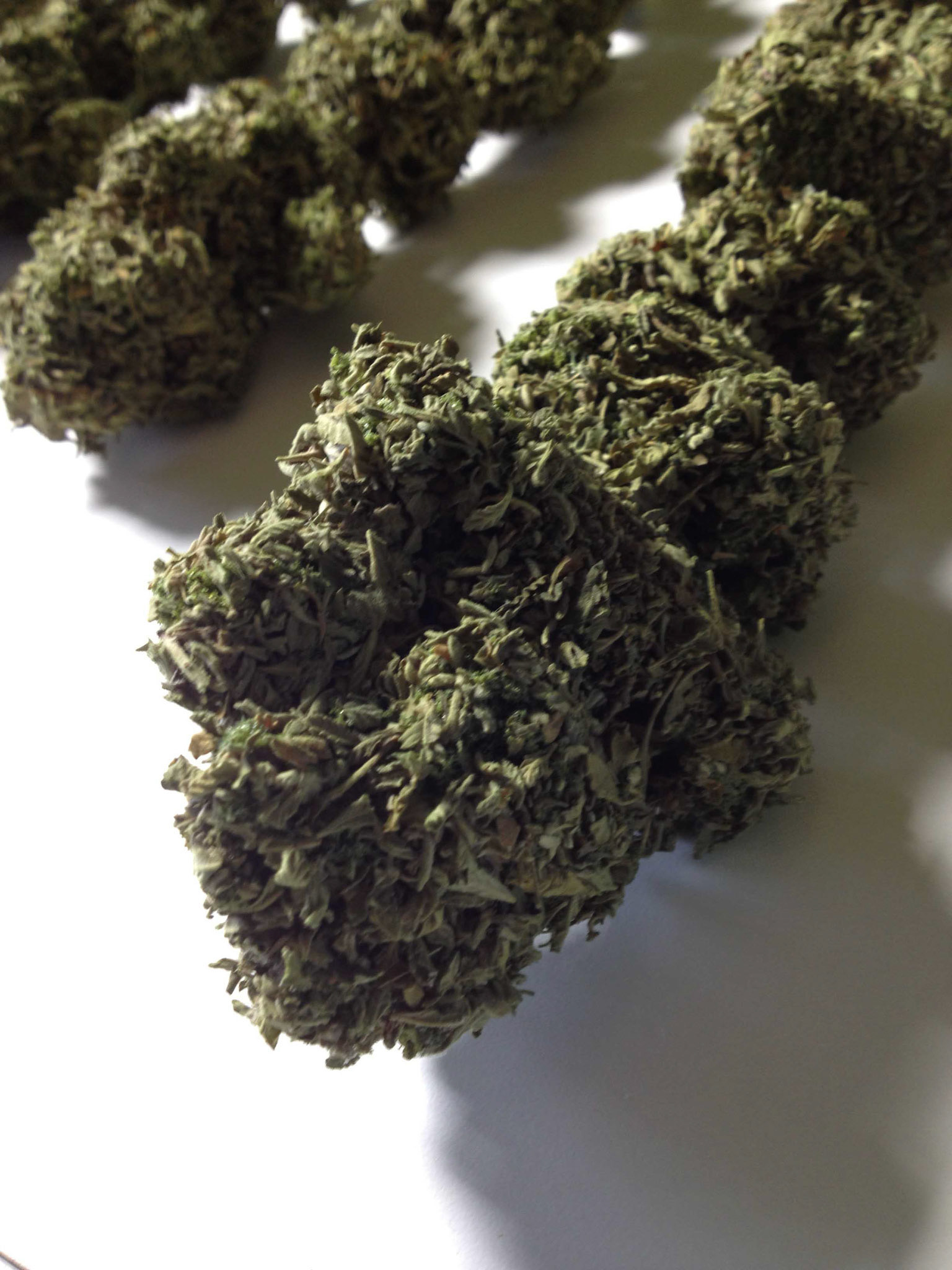 DRIED BUD detail