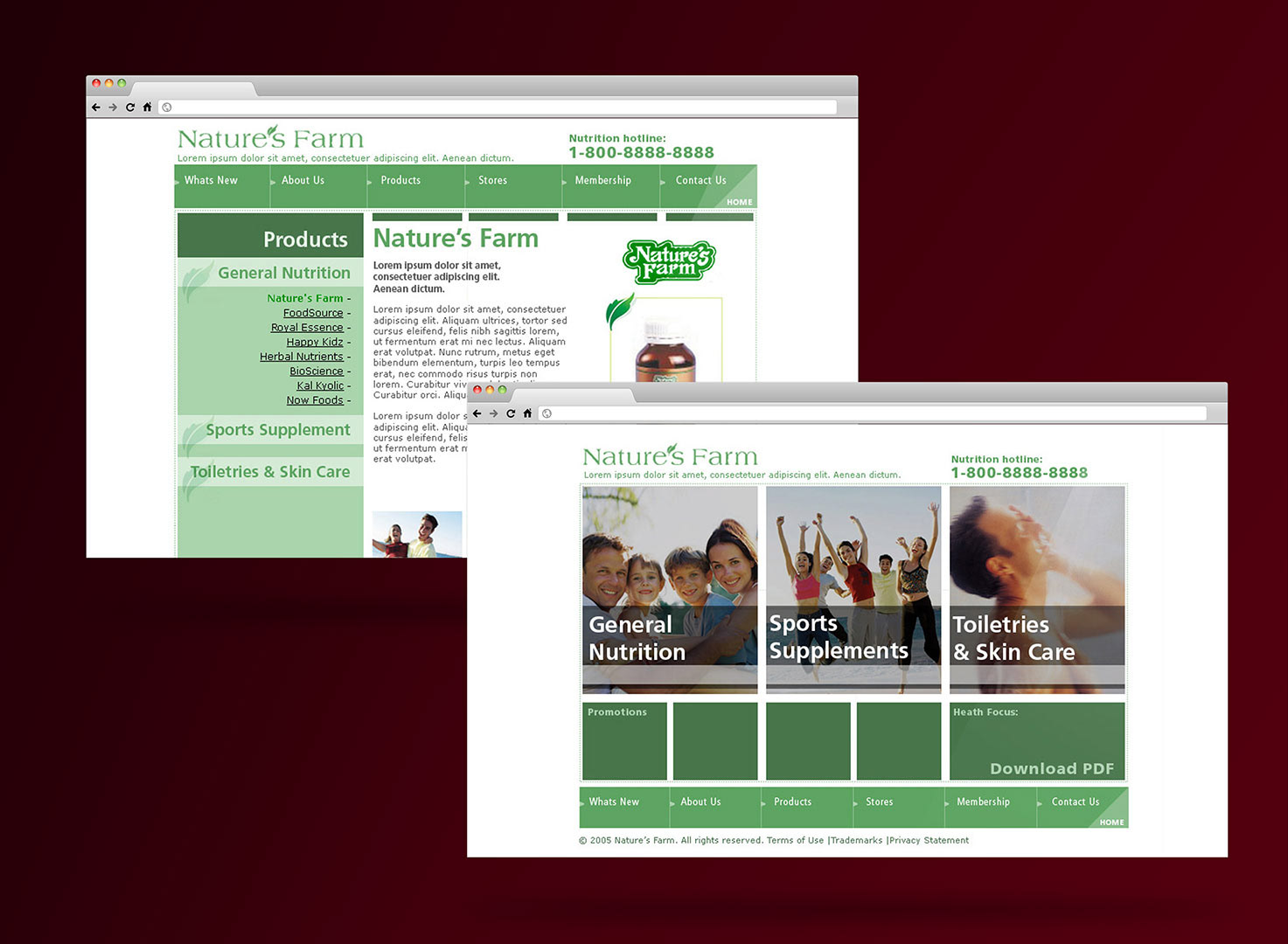 Website design