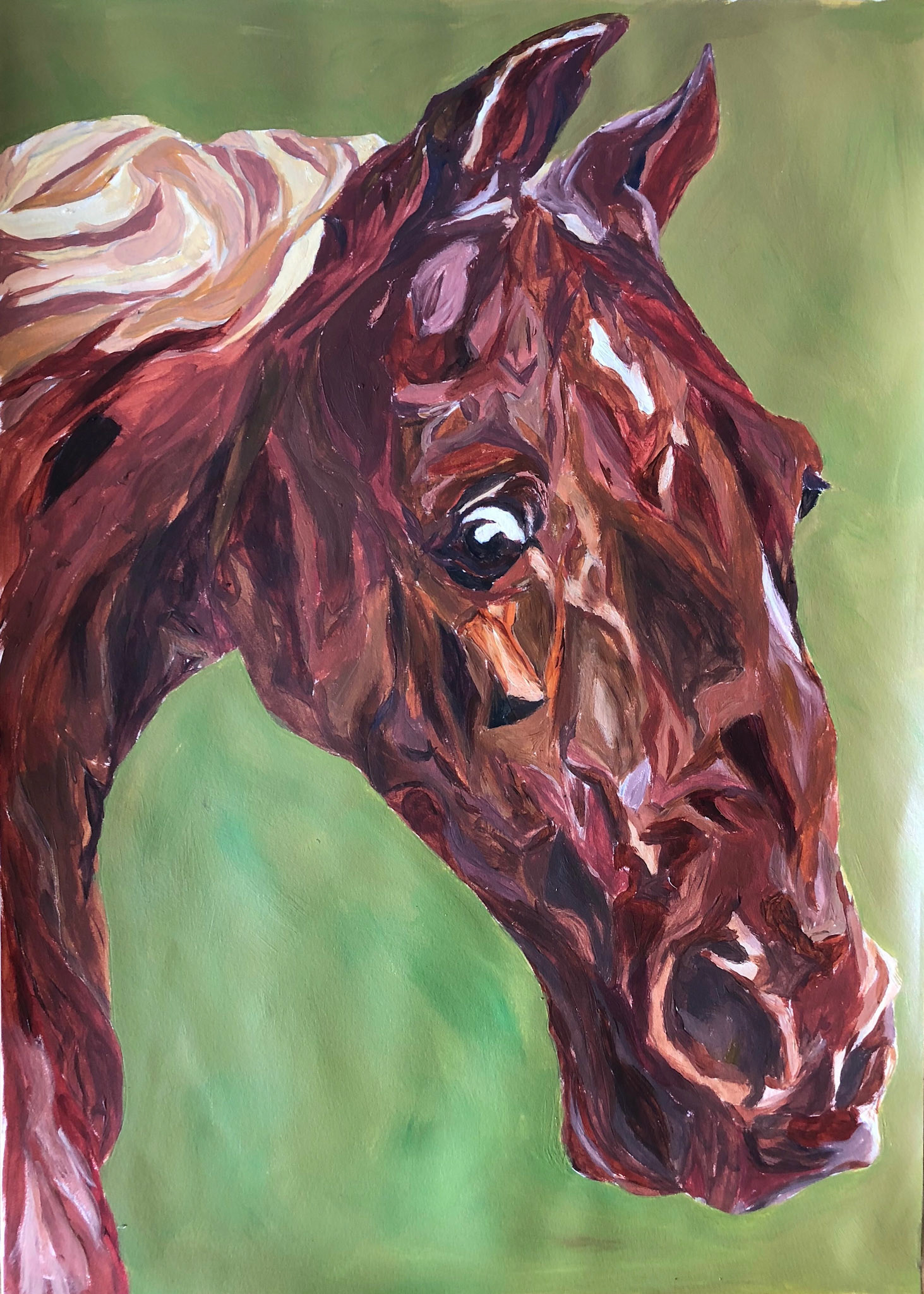 Recreation of Whistle Jackets Expression 2018