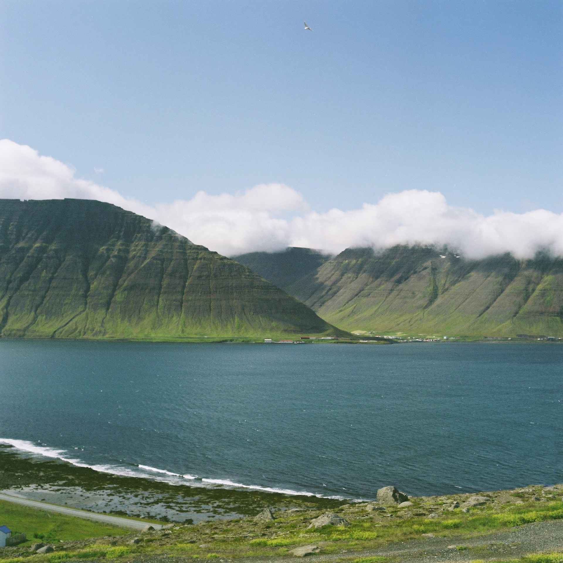 Þingeyri