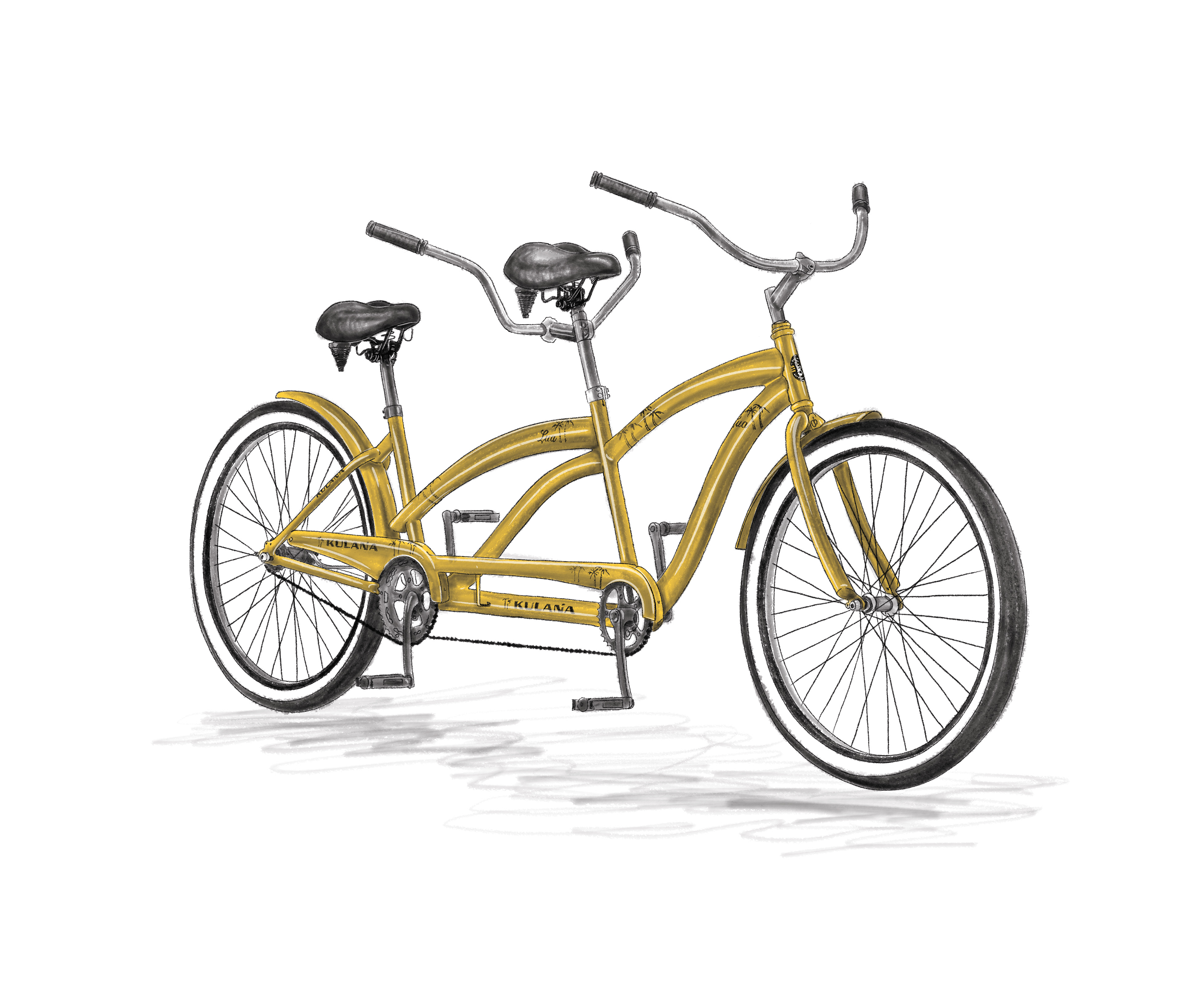 Tandem Bicycle