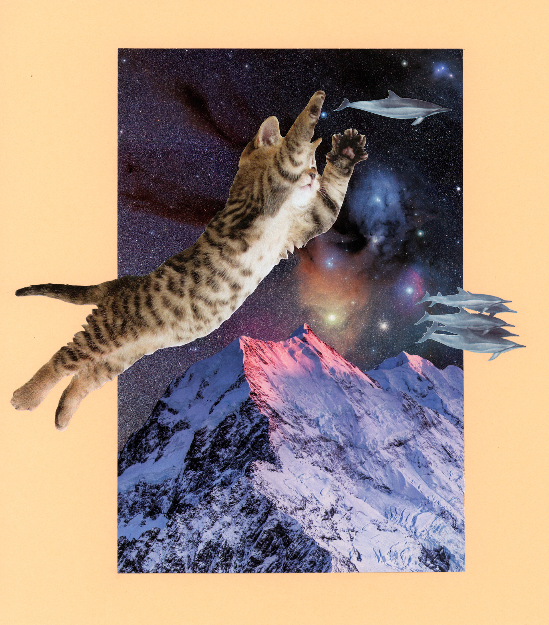 Save the Space Dolphins (2018)
