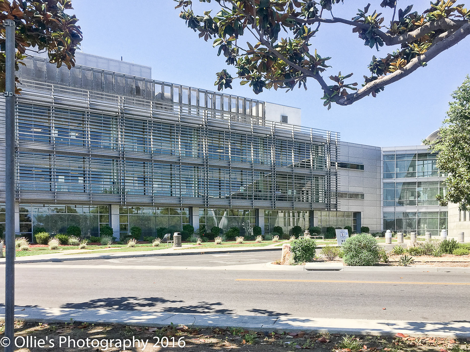 Ollie Grant - Long Beach VA Hospital