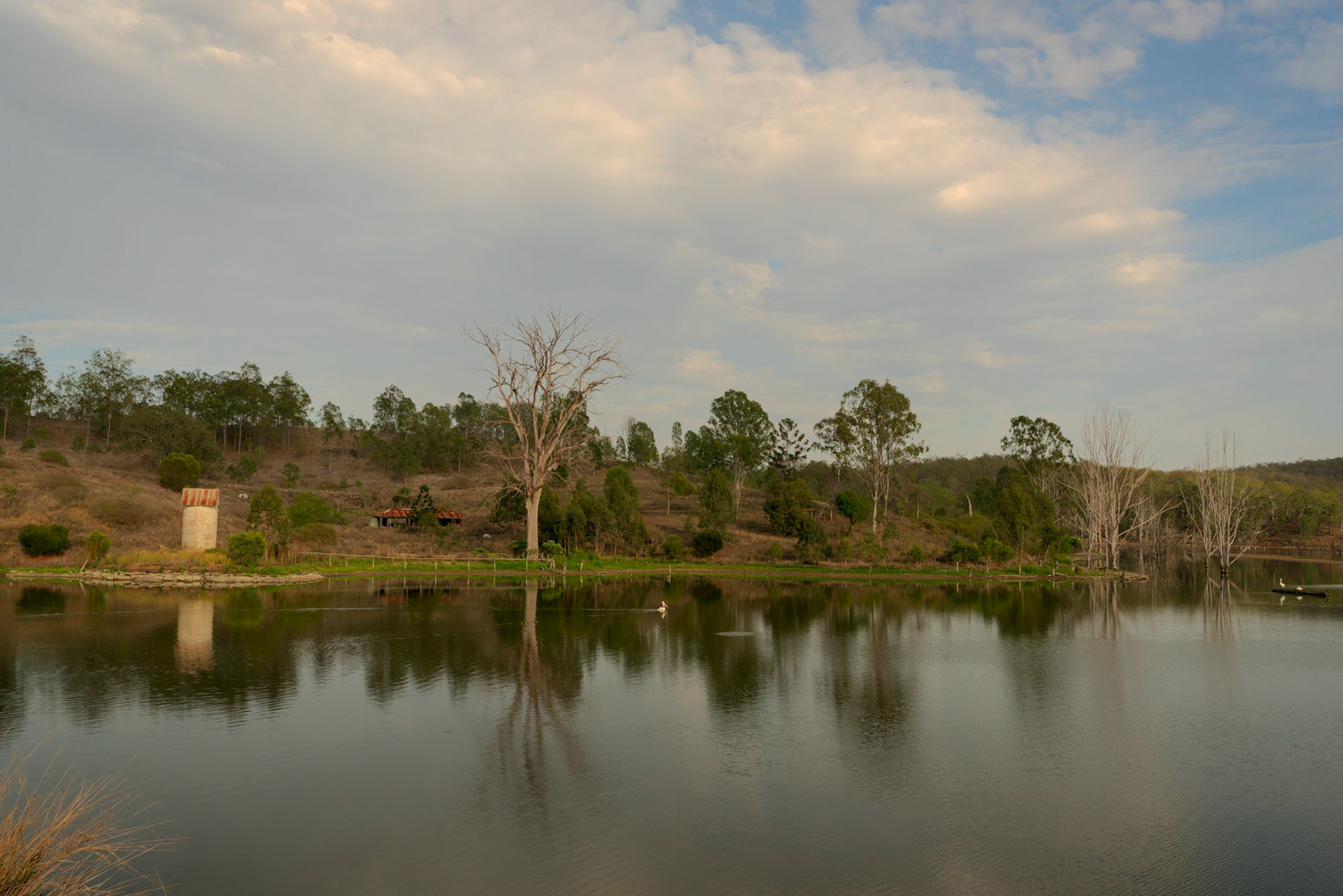Abandoned Farm - Lake Wyaralong Upper Reaches