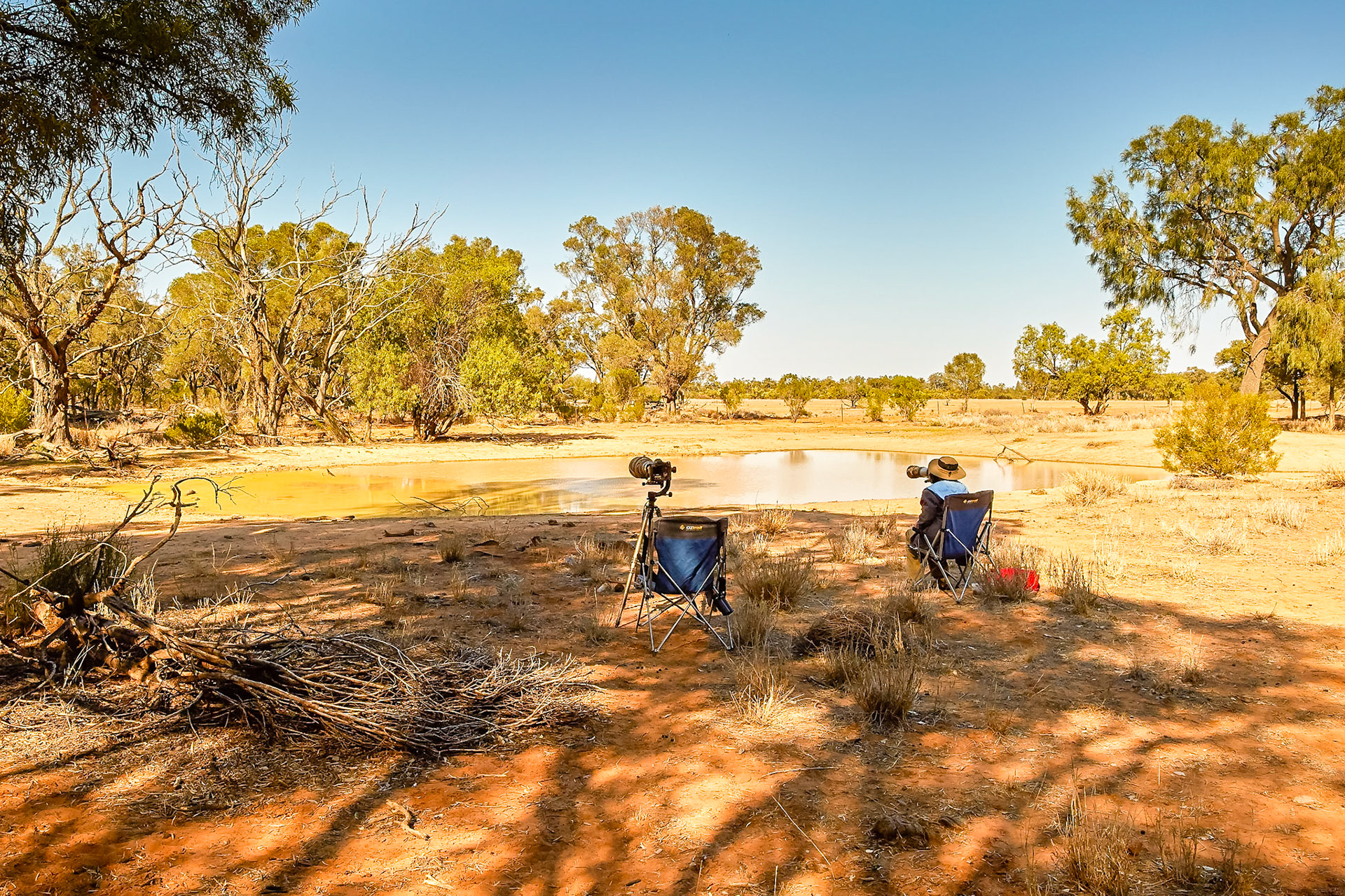 Set up for the morning shoot - Cottage Lagoon Bowra Sanctuary