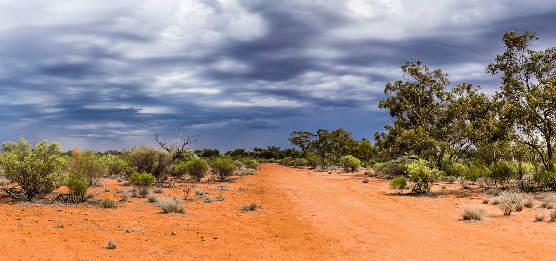 The chance of a bit of rain - Kilcowera Station Thargomindah